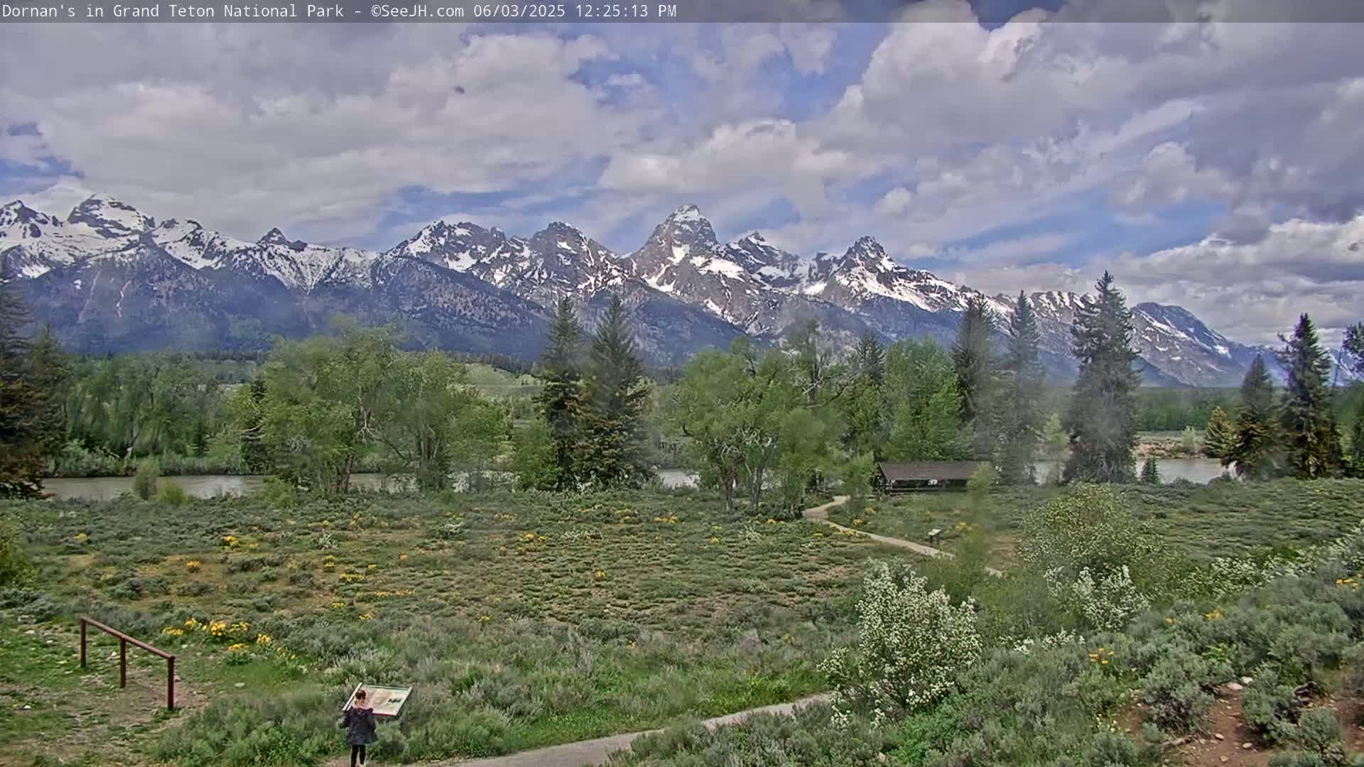 A partly cloudy day reveals a verdant valley with a river,  flowering shrubs, and a snow-capped mountain range in the background.