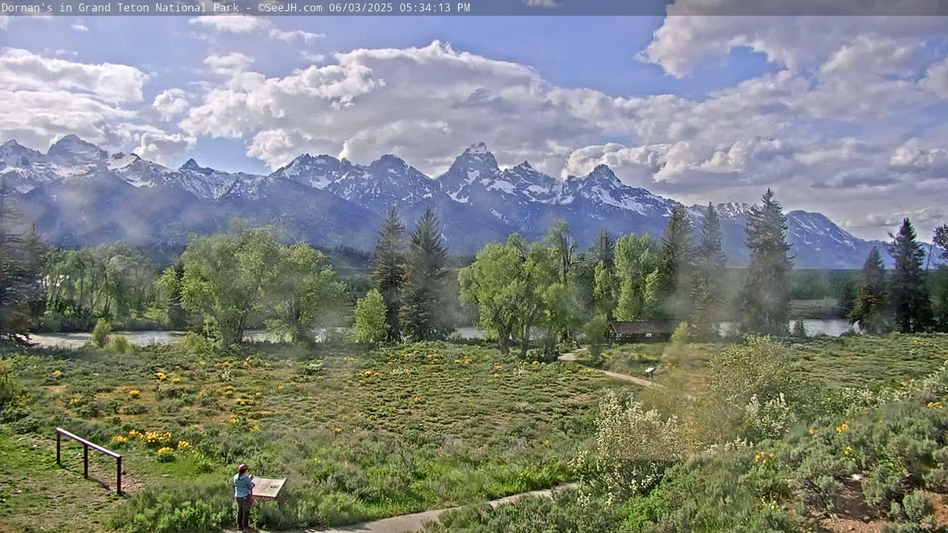 A partly cloudy day reveals a snow-capped mountain range in the distance, beyond a flat expanse of green vegetation, a river, and a few trees, with a person standing near an informational display in the foreground.
