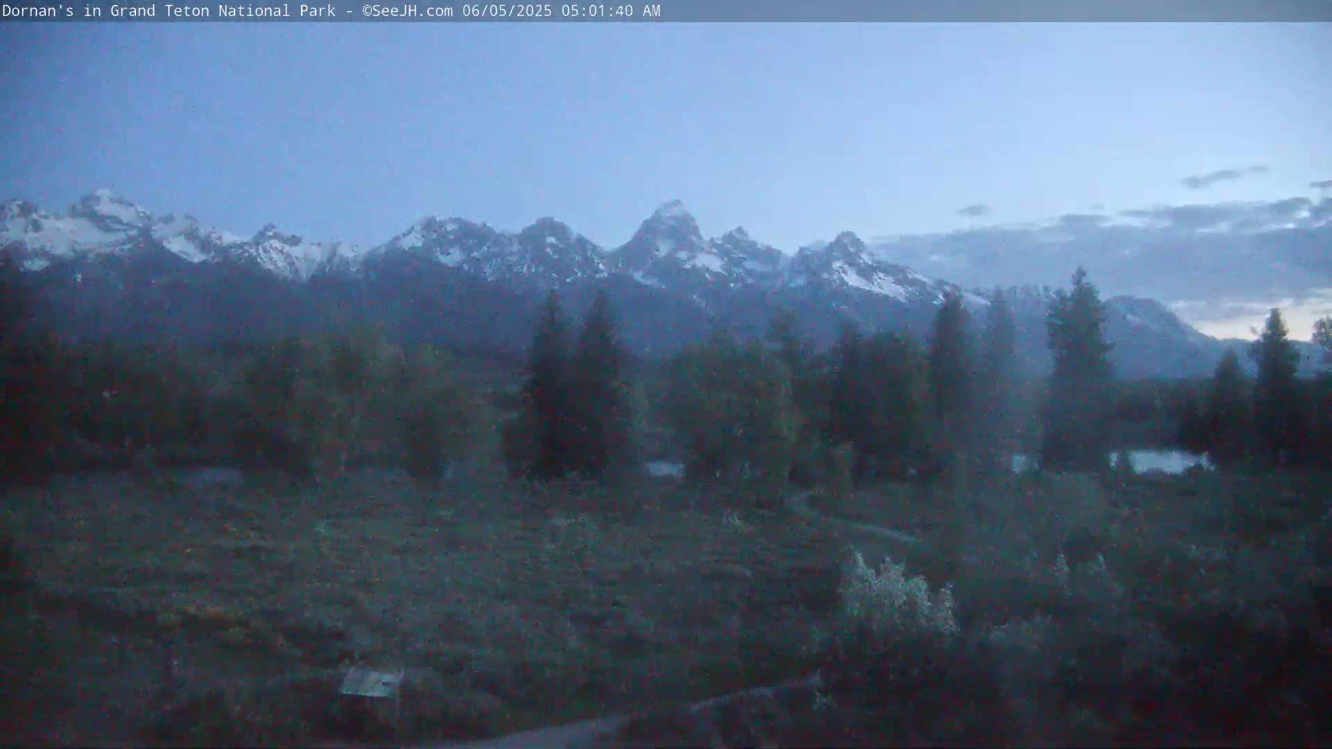 A snow-capped mountain range is visible at dawn, with a hazy, dark-green field and trees in the foreground under a mostly clear sky.