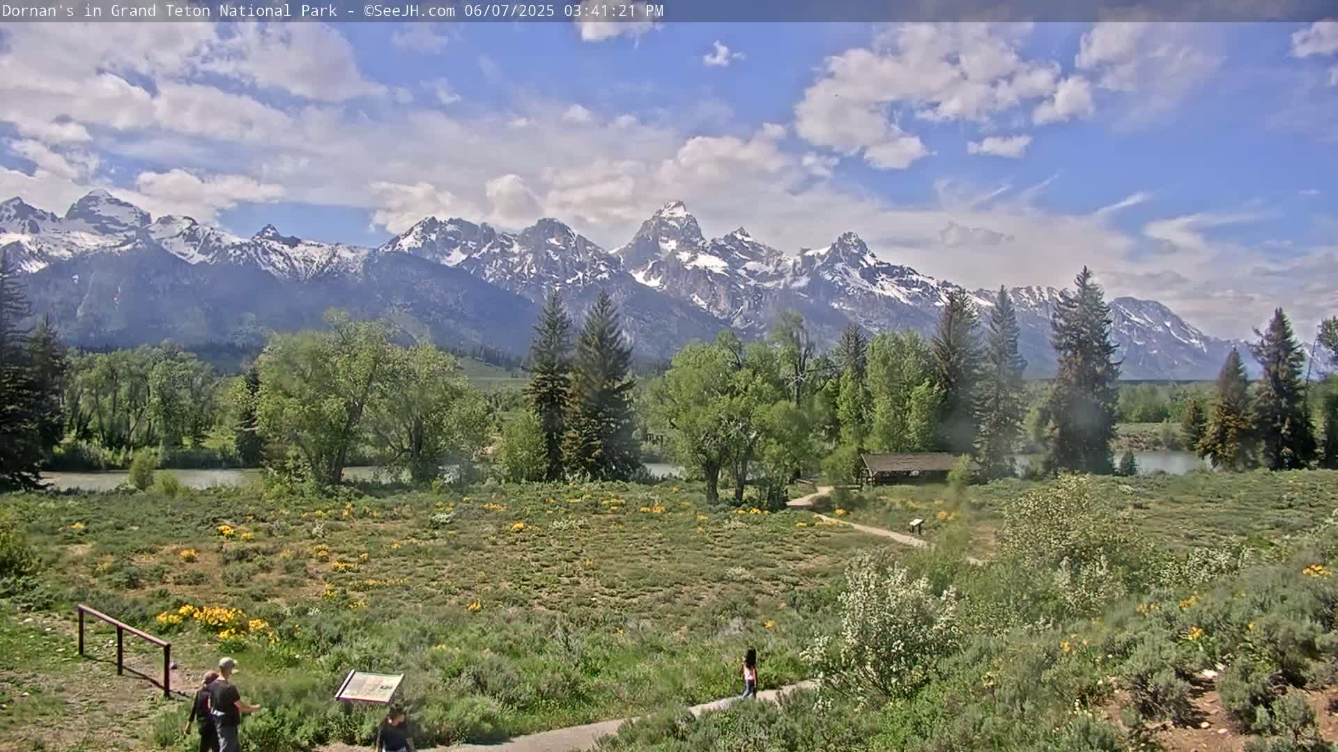 A partly cloudy sky overlooks a verdant valley with a river, shrubs blooming with yellow flowers, and snow-capped mountains in the distance.