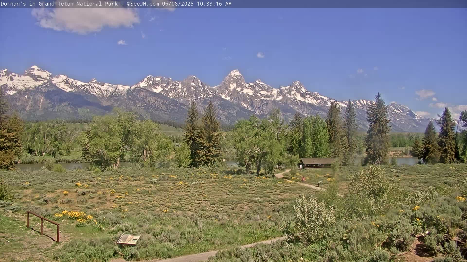 A mostly sunny day reveals a grassy field dotted with yellow wildflowers and trees, a small building, and a snow-capped mountain range in the background.