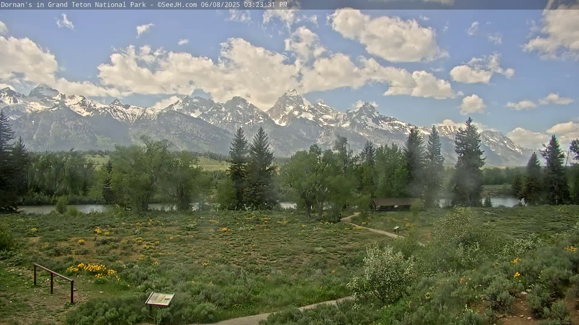 Grand Teton National Park  Live Cam - Moose, Teton, Wyoming, USA
