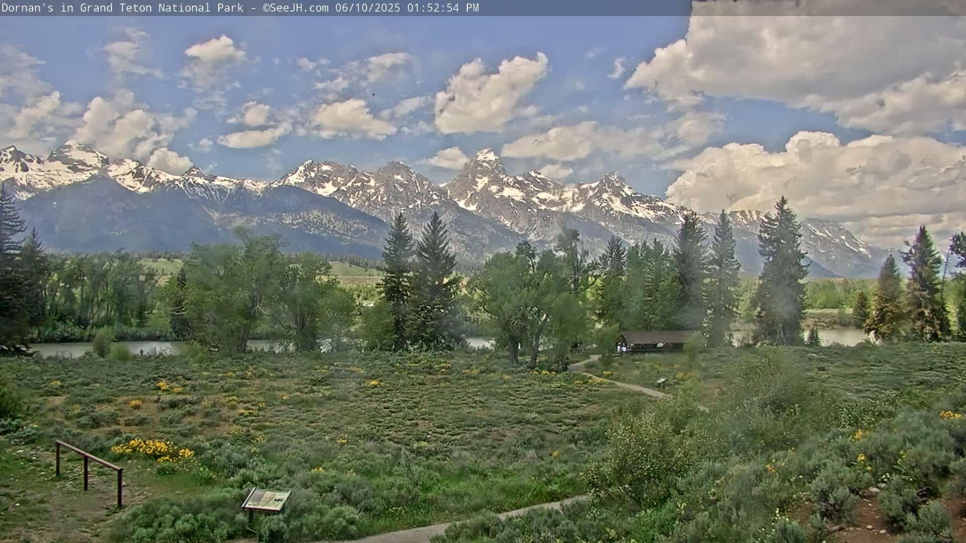 Grand Teton National Park  Live Cam - Moose, Teton, Wyoming, USA