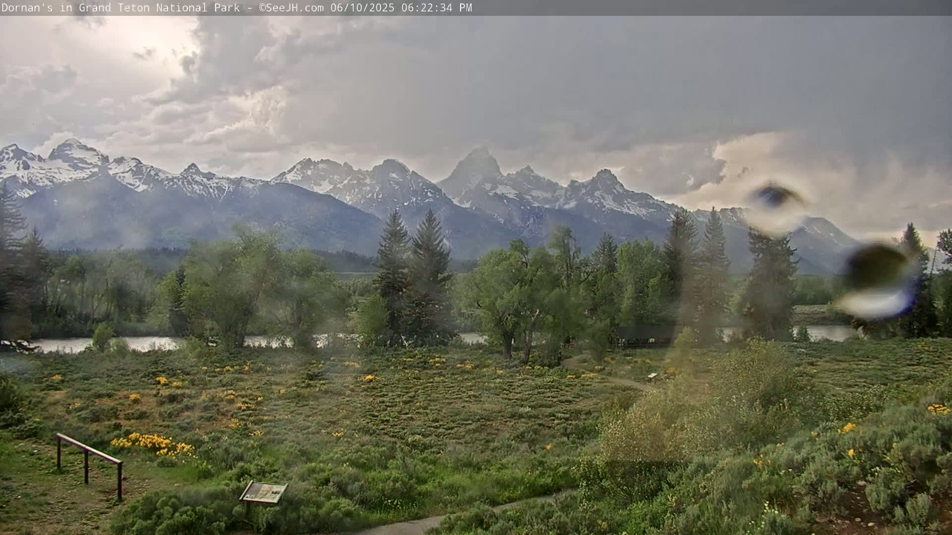 Grand Teton National Park  Live Cam - Moose, Teton, Wyoming, USA