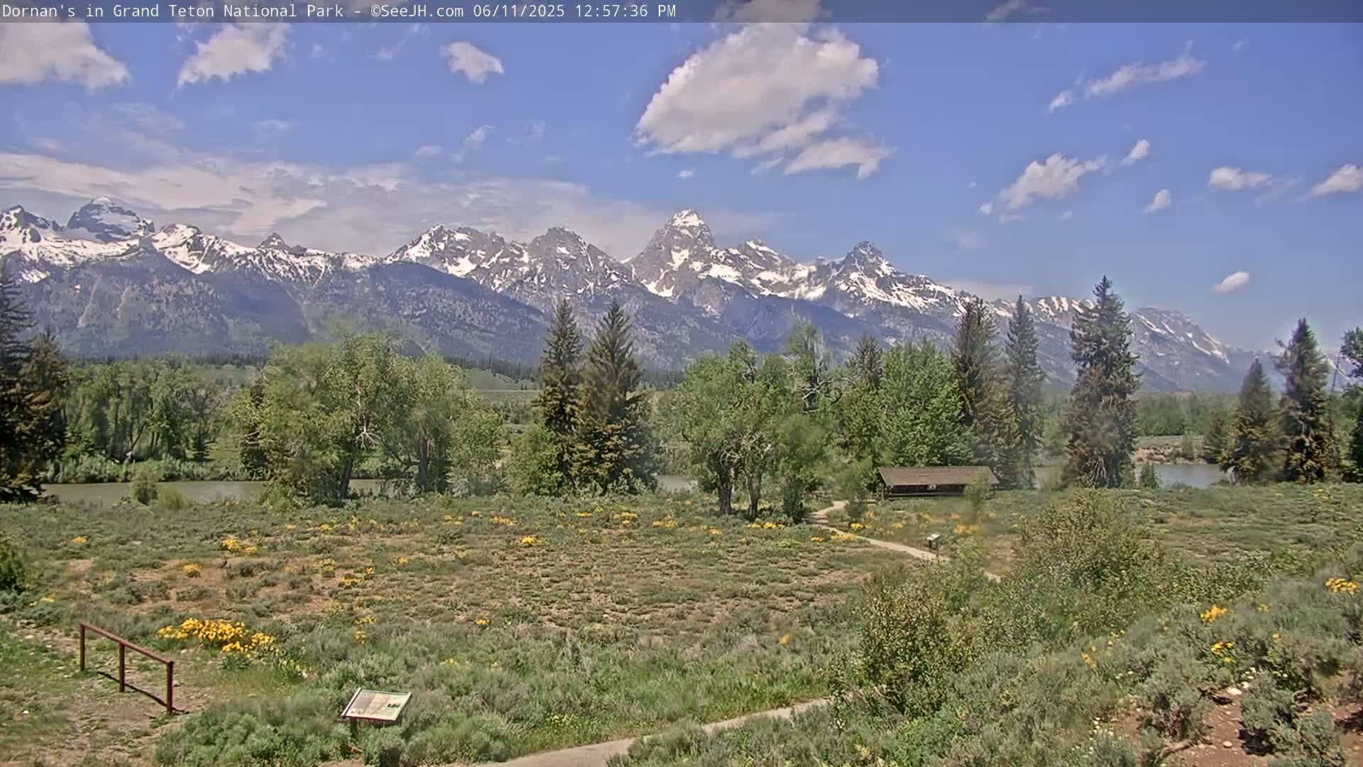 Grand Teton National Park  Live Cam - Moose, Teton, Wyoming, USA