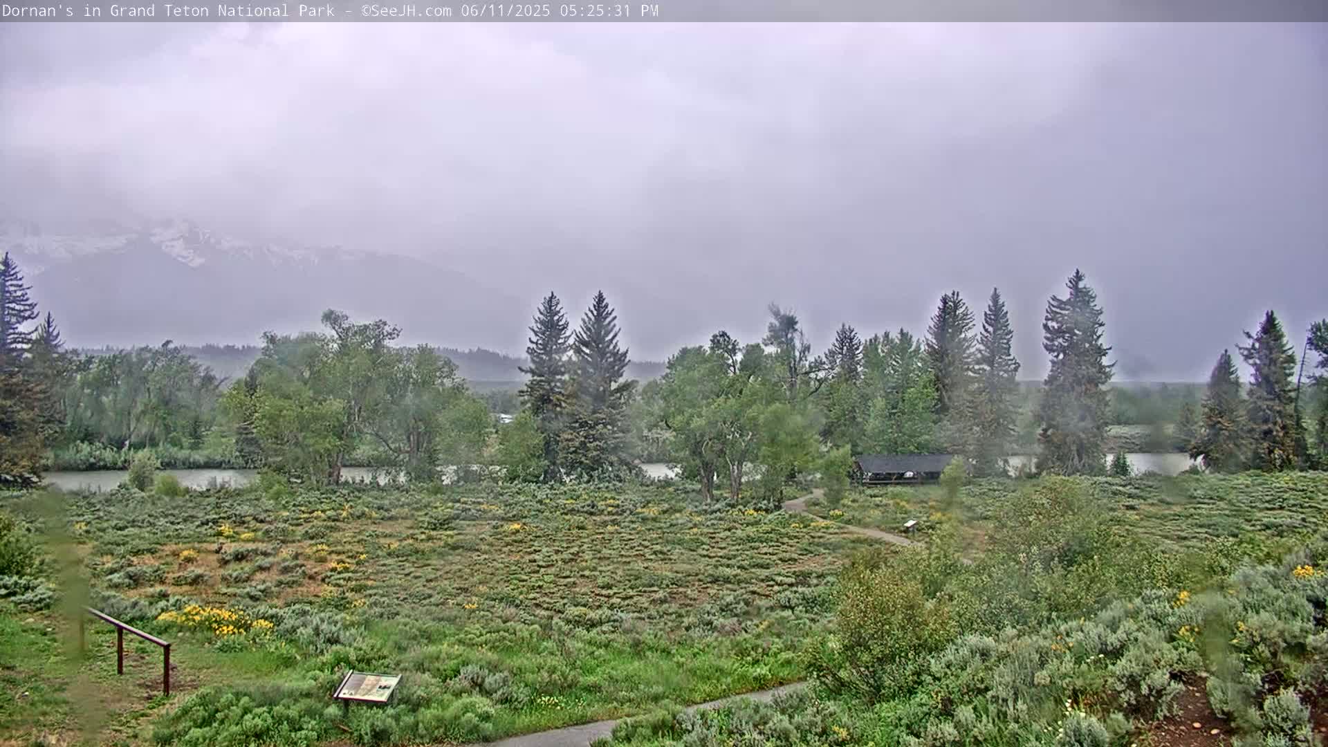 Grand Teton National Park  Live Cam - Moose, Teton, Wyoming, USA