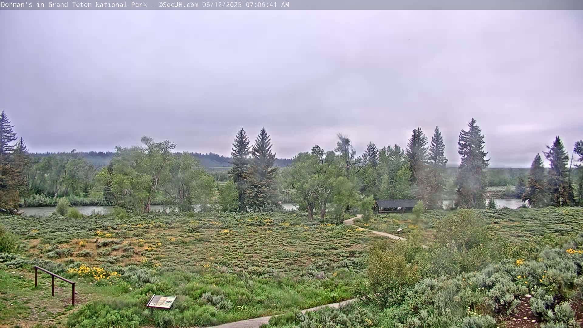 A calm river flows through a flat, green landscape dotted with wildflowers and evergreens under an overcast sky.