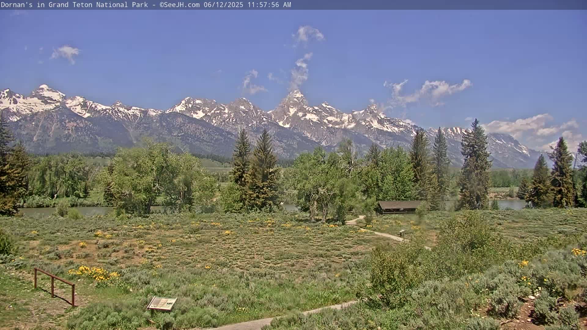Grand Teton National Park  Live Cam - Moose, Teton, Wyoming, USA