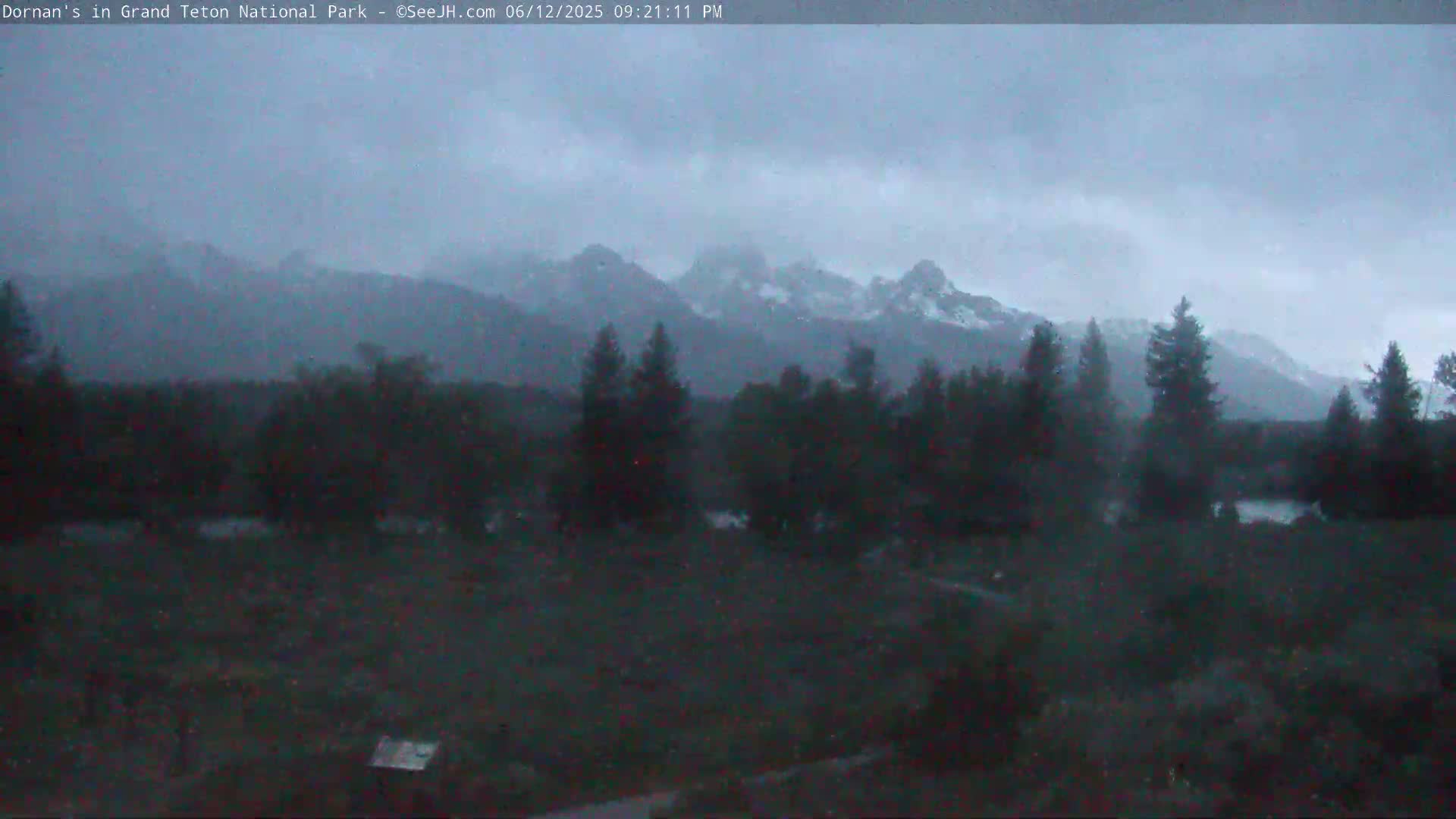 Grand Teton National Park  Live Cam - Moose, Teton, Wyoming, USA