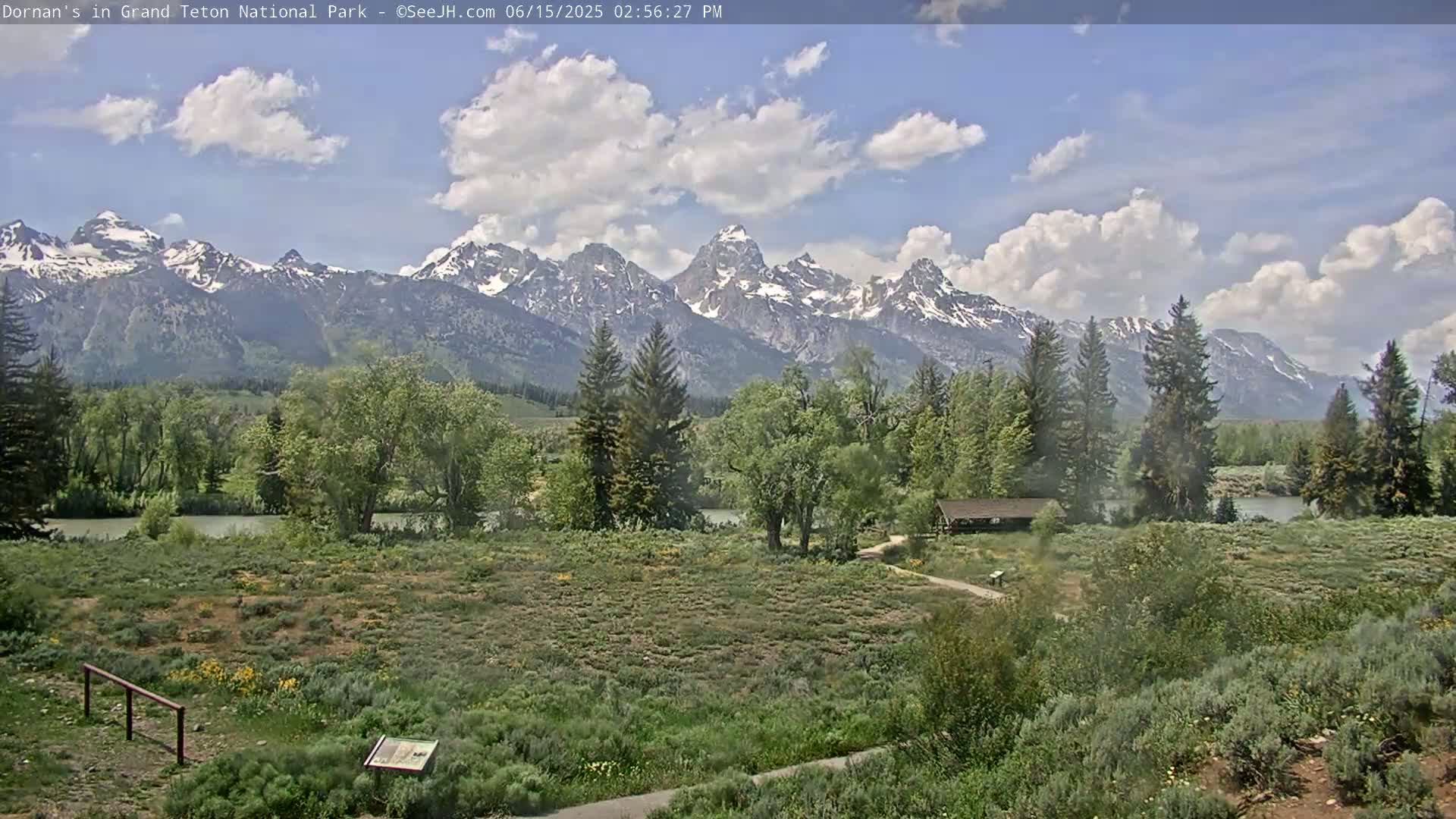 Grand Teton National Park  Live Cam - Moose, Teton, Wyoming, USA