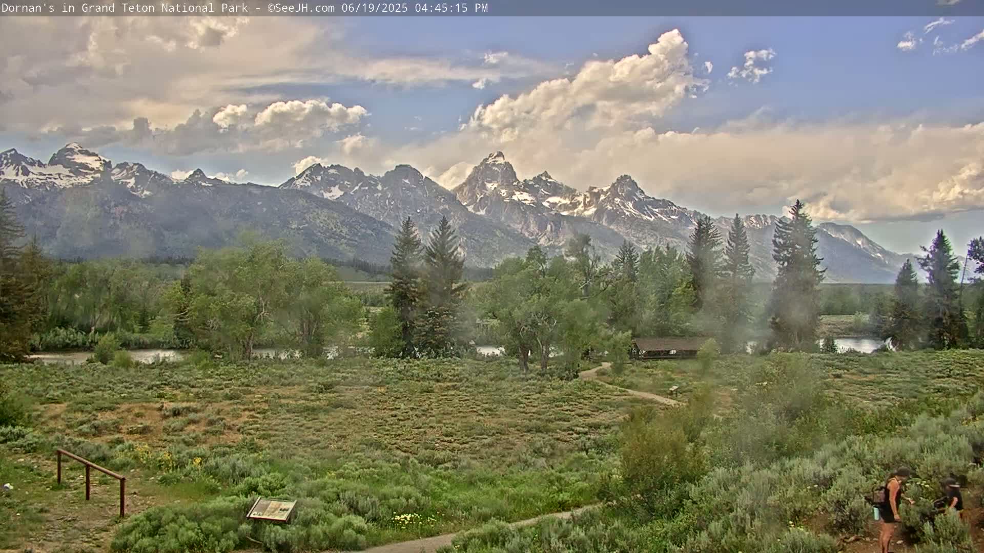 Grand Teton National Park  Live Cam - Moose, Teton, Wyoming, USA