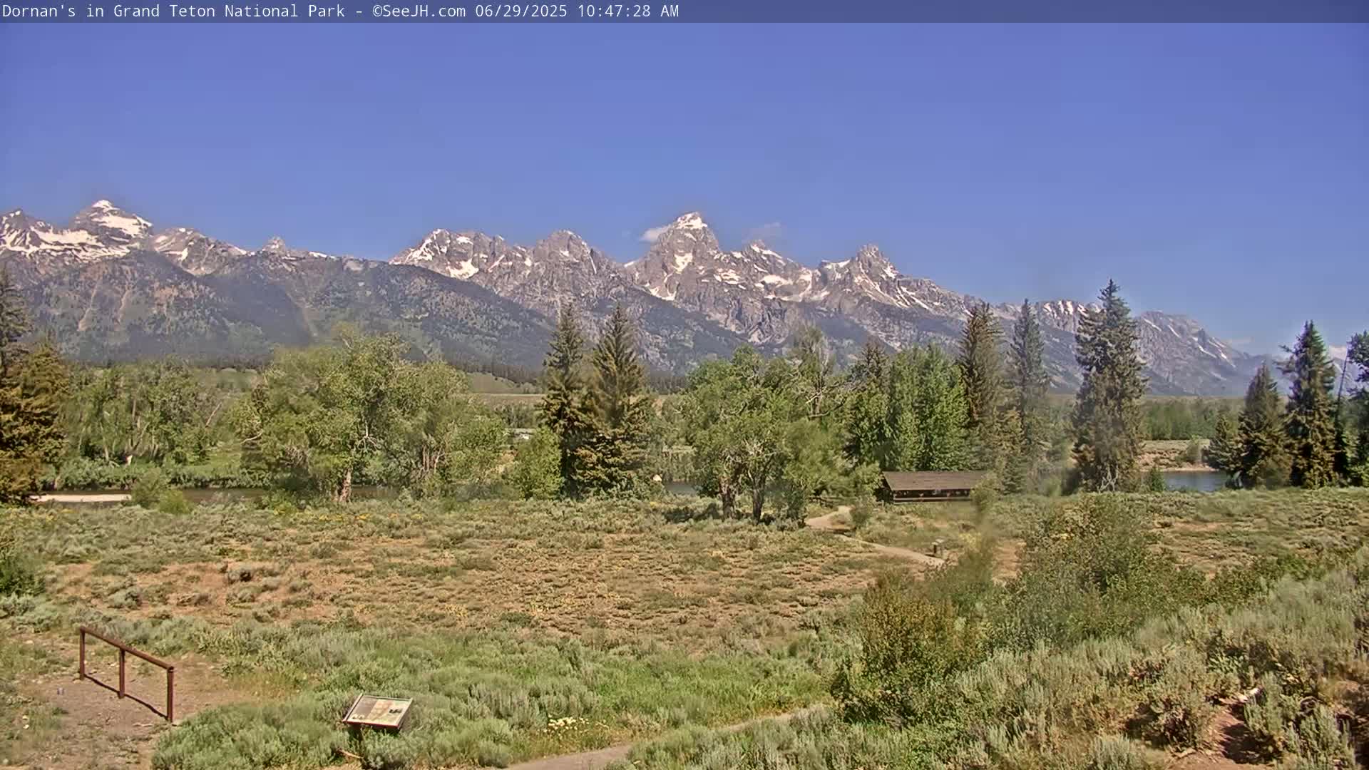 Grand Teton National Park  Live Cam - Moose, Teton, Wyoming, USA
