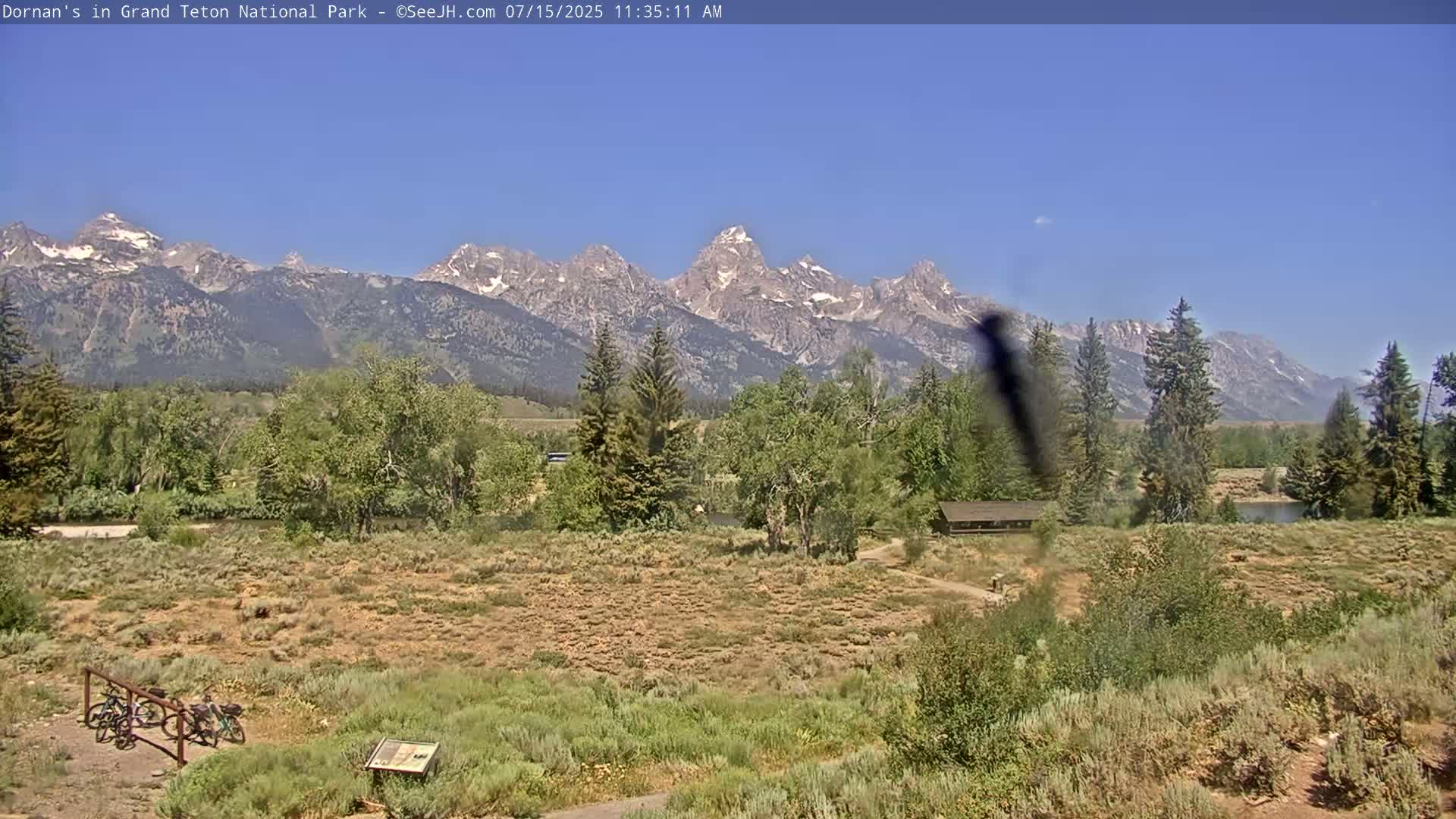 Grand Teton National Park  Live Cam - Moose, Teton, Wyoming, USA