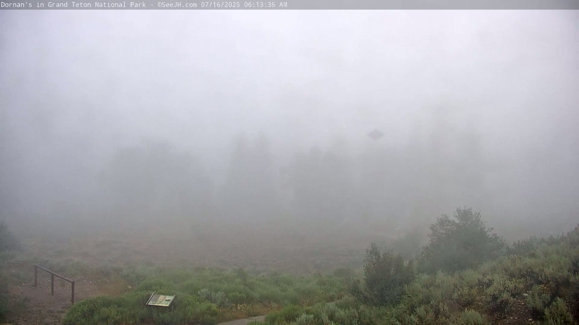 Grand Teton National Park  Live Cam - Moose, Teton, Wyoming, USA