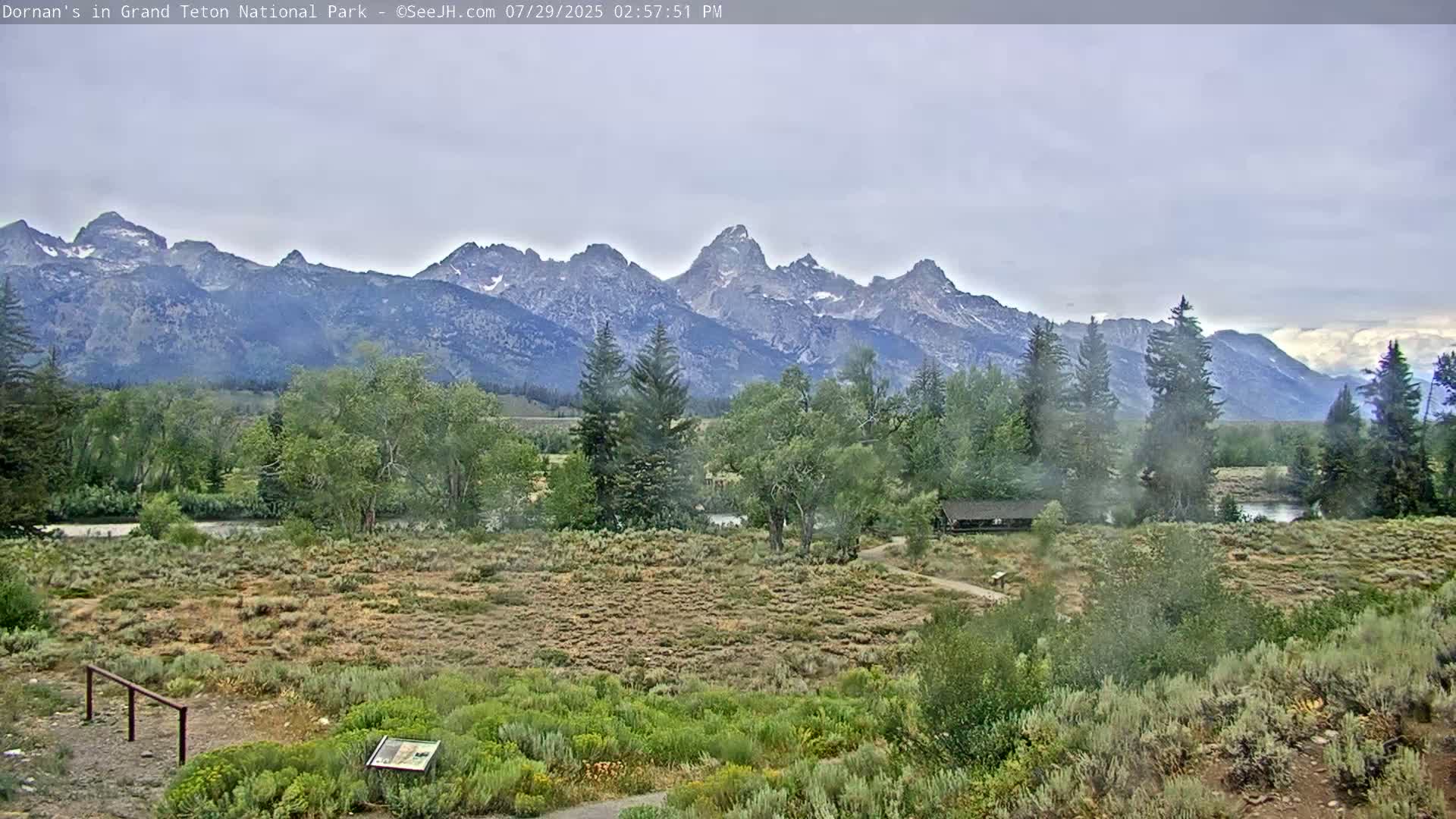 Grand Teton National Park  Live Cam - Moose, Teton, Wyoming, USA