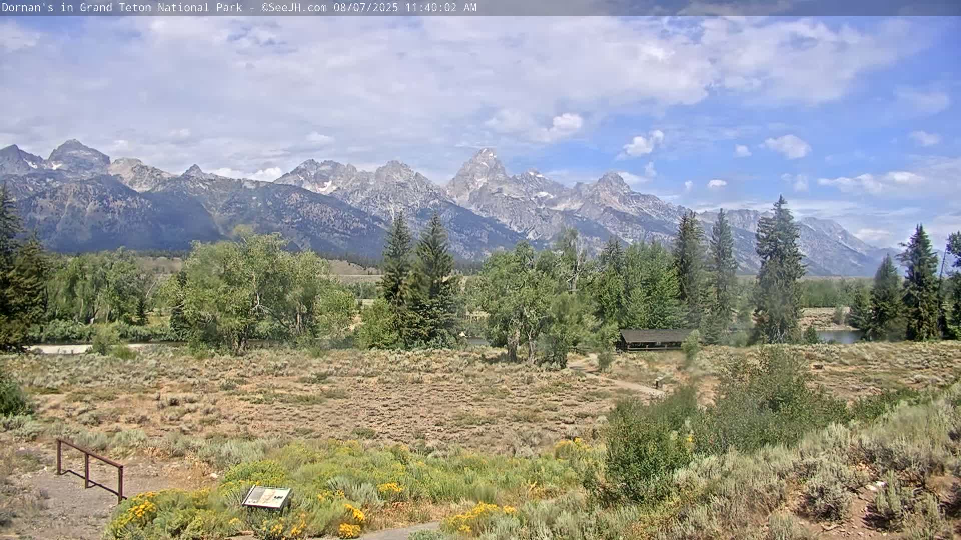 Grand Teton National Park  Live Cam - Moose, Teton, Wyoming, USA