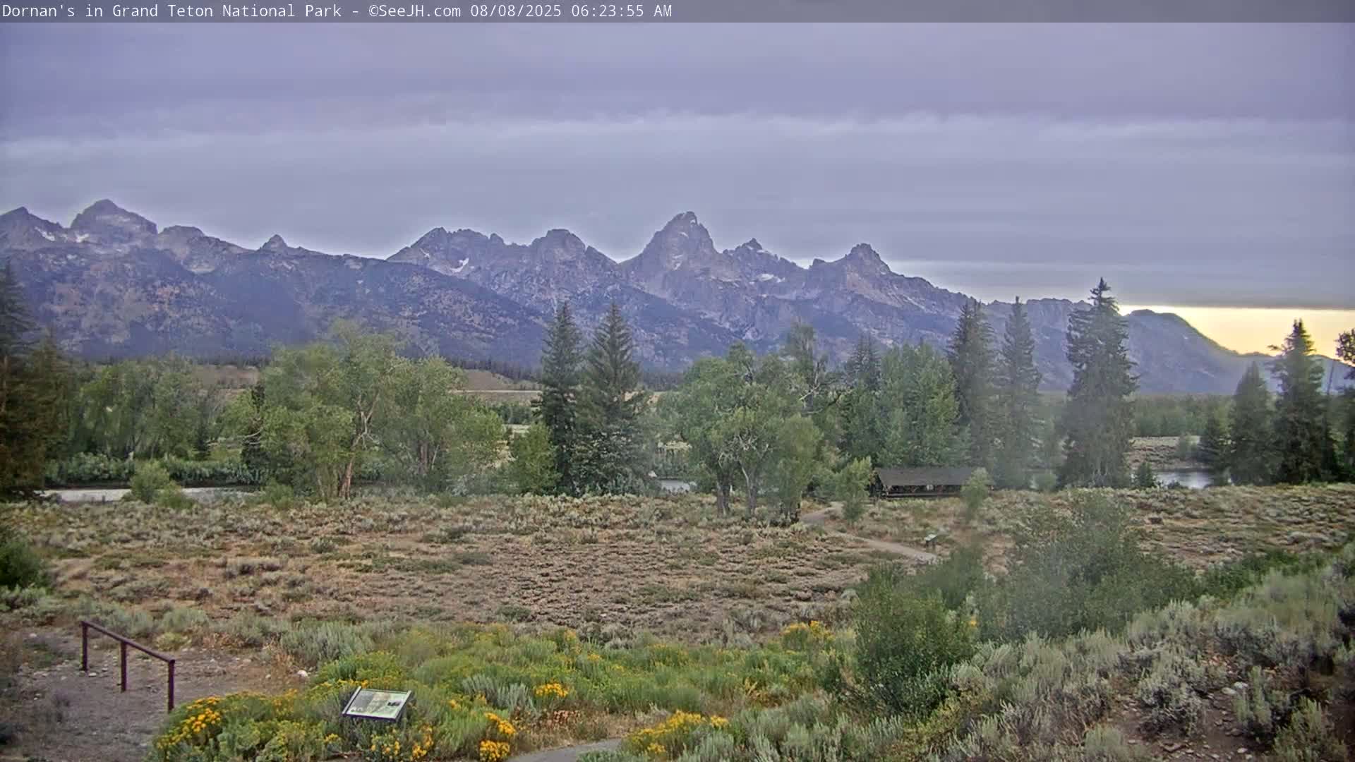 Grand Teton National Park  Live Cam - Moose, Teton, Wyoming, USA