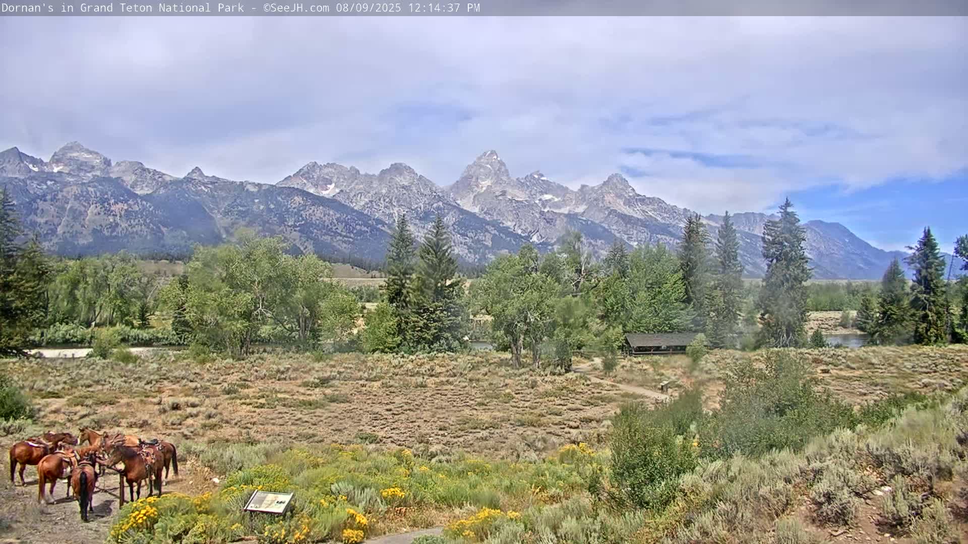 Grand Teton National Park  Live Cam - Moose, Teton, Wyoming, USA