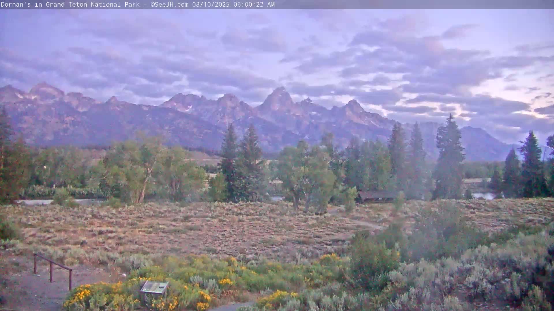 Grand Teton National Park  Live Cam - Moose, Teton, Wyoming, USA