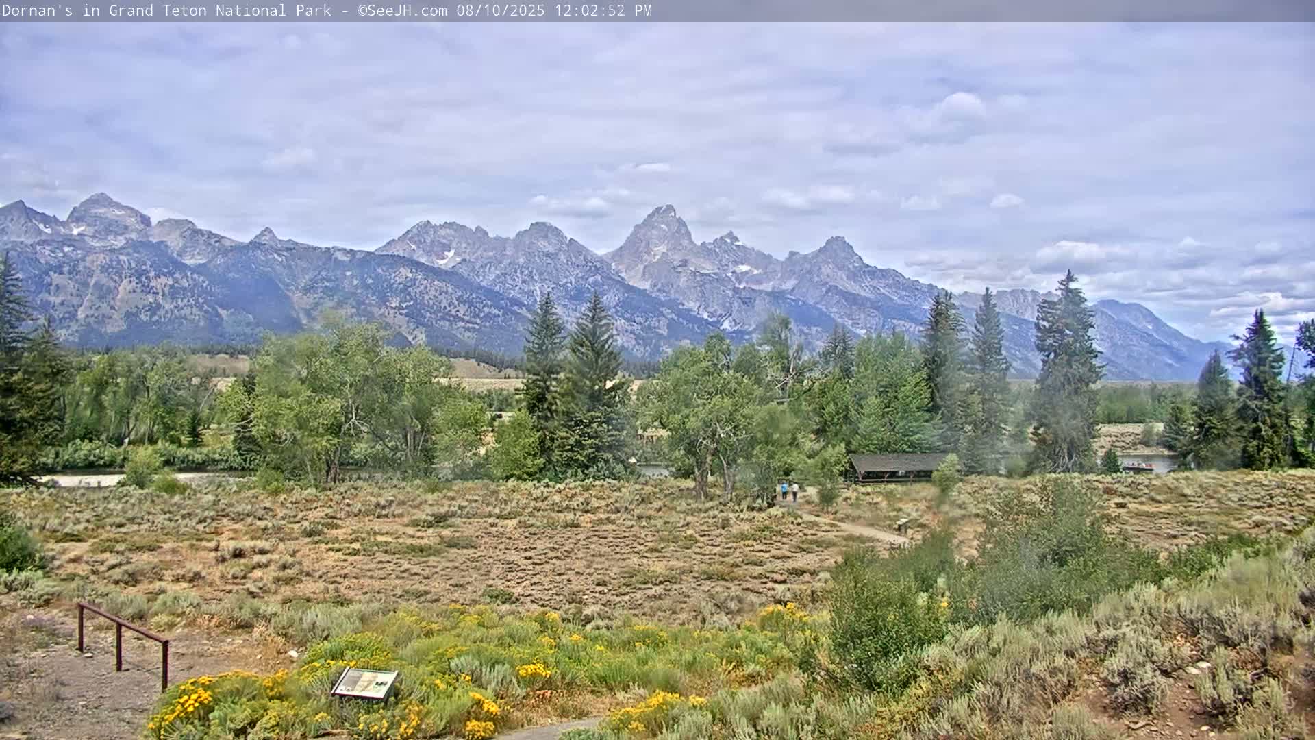 Grand Teton National Park  Live Cam - Moose, Teton, Wyoming, USA