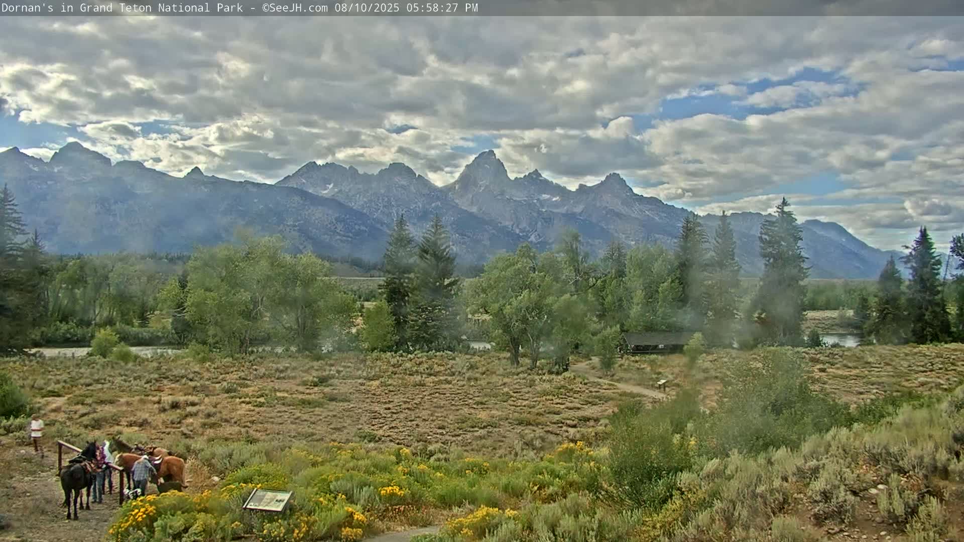 Grand Teton National Park  Live Cam - Moose, Teton, Wyoming, USA
