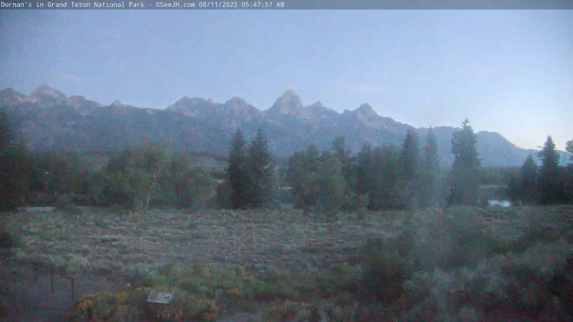 Grand Teton National Park  Live Cam - Moose, Teton, Wyoming, USA