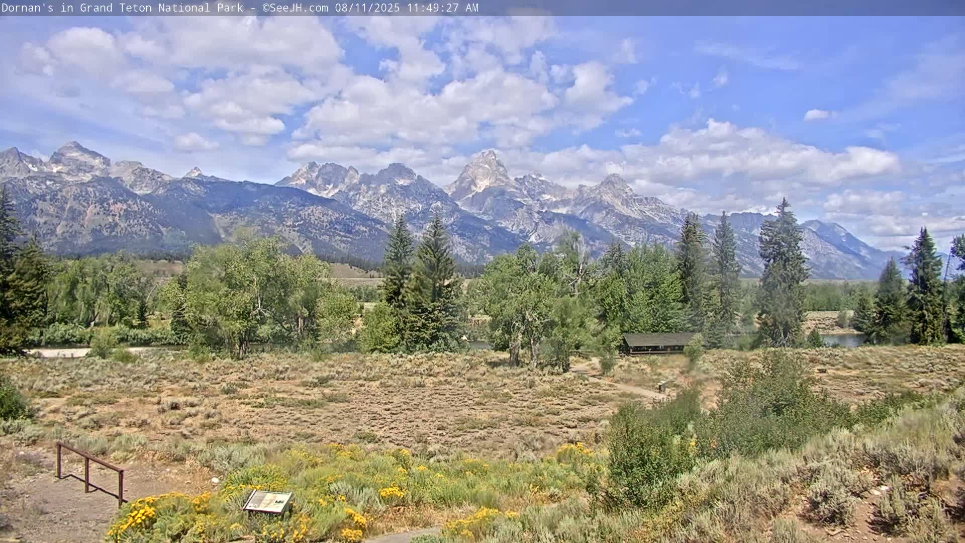 Grand Teton National Park  Live Cam - Moose, Teton, Wyoming, USA