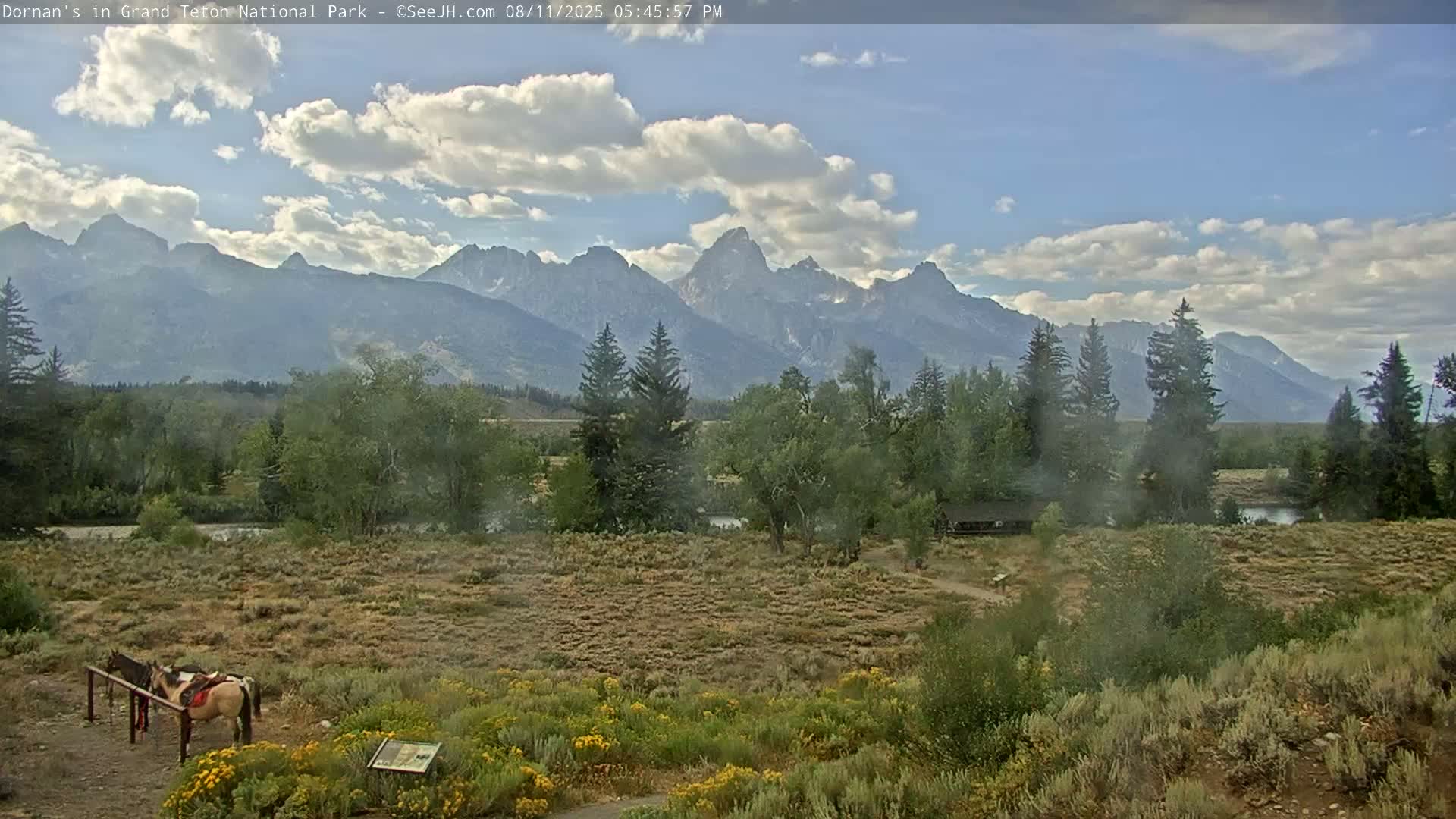 Grand Teton National Park  Live Cam - Moose, Teton, Wyoming, USA