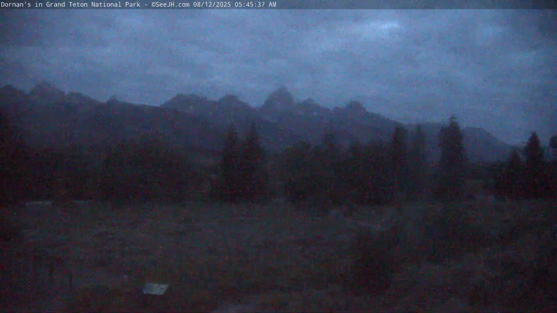 Grand Teton National Park  Live Cam - Moose, Teton, Wyoming, USA