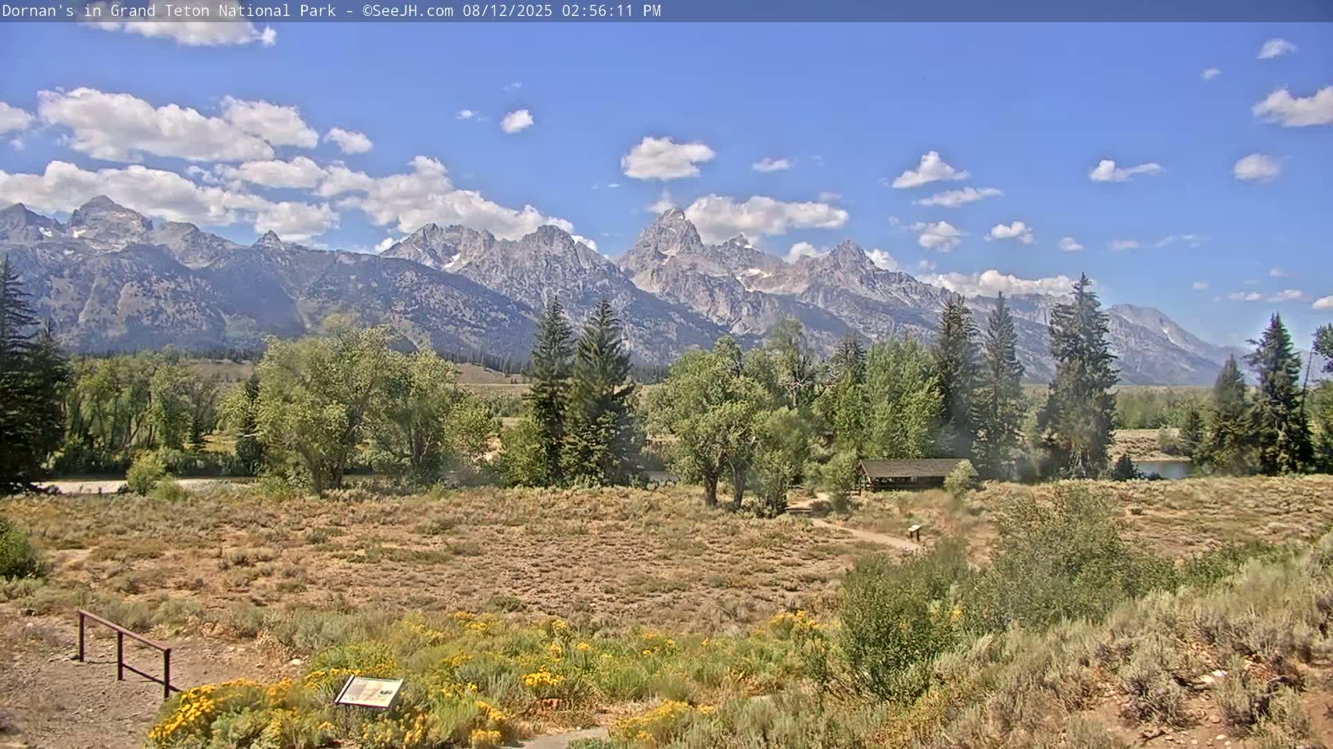 Grand Teton National Park  Live Cam - Moose, Teton, Wyoming, USA