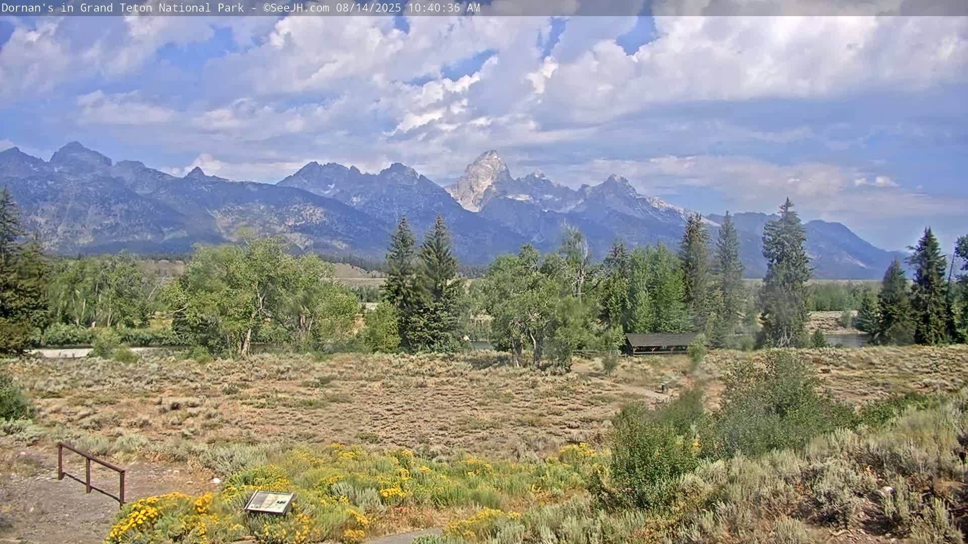 Grand Teton National Park  Live Cam - Moose, Teton, Wyoming, USA