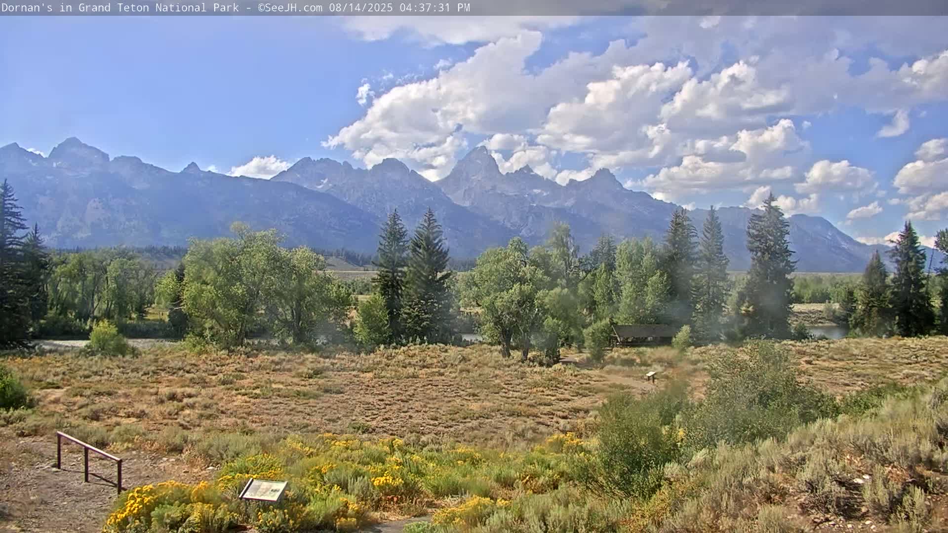 Grand Teton National Park  Live Cam - Moose, Teton, Wyoming, USA