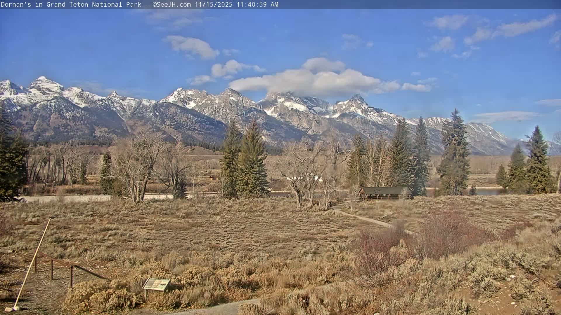 Grand Teton National Park  Live Cam - Moose, Teton, Wyoming, USA