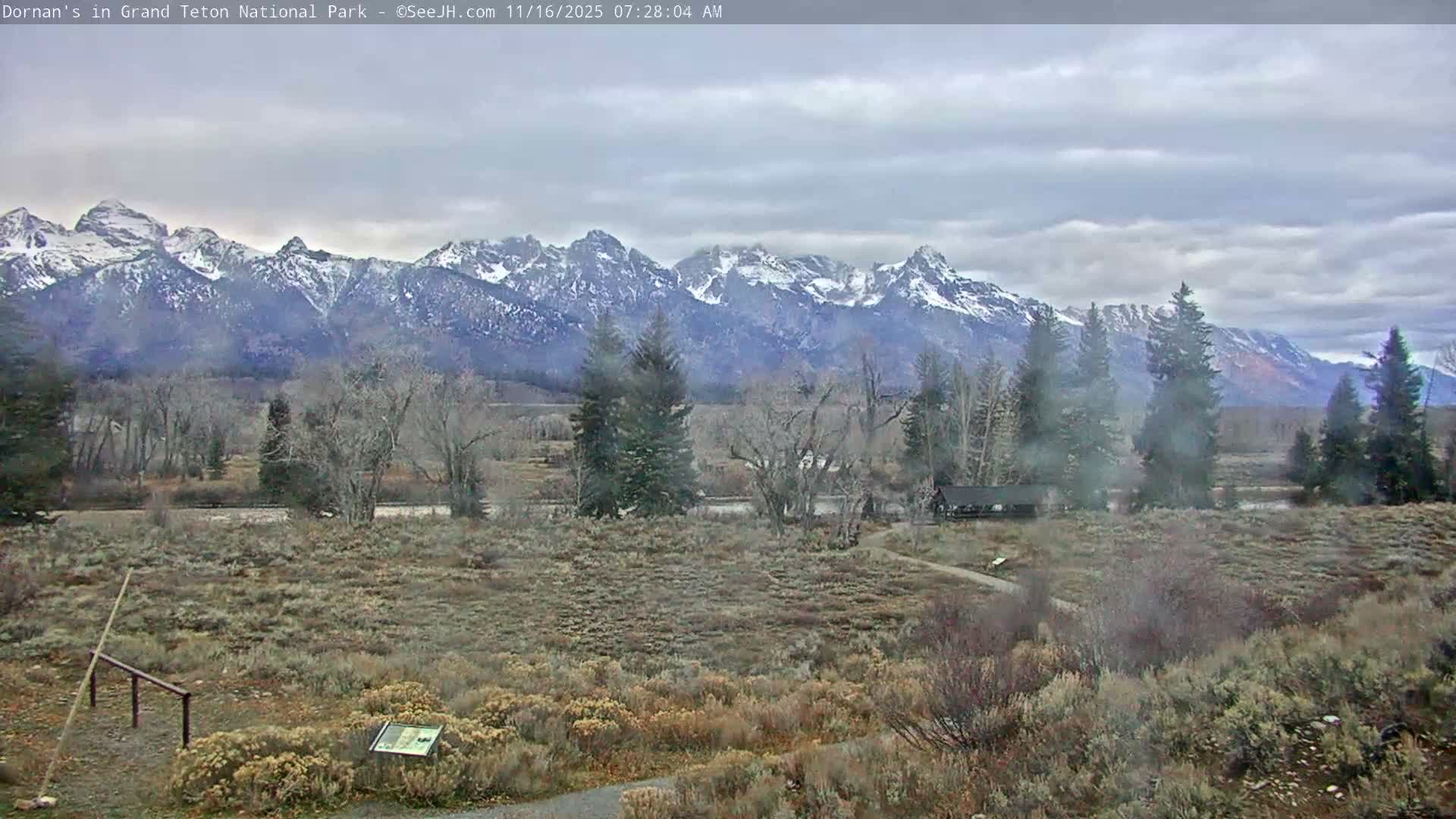 Grand Teton National Park  Live Cam - Moose, Teton, Wyoming, USA