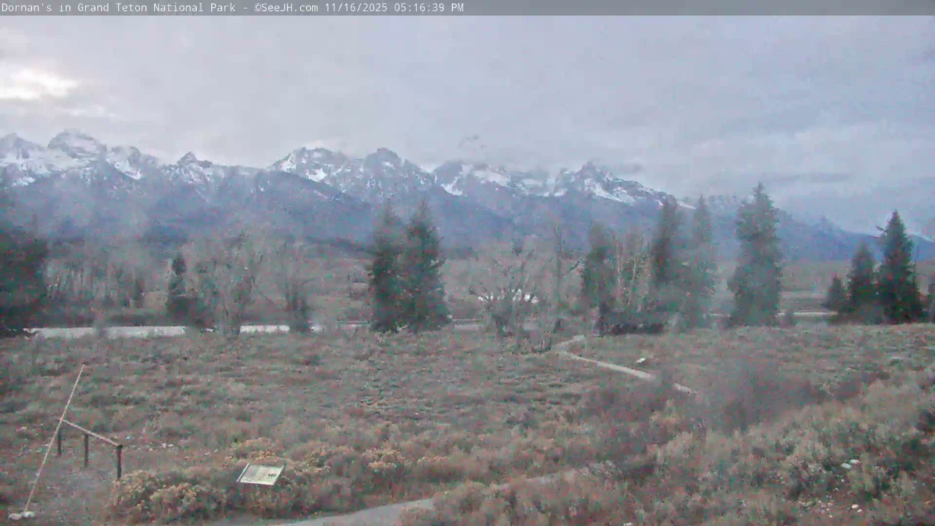 Grand Teton National Park  Live Cam - Moose, Teton, Wyoming, USA