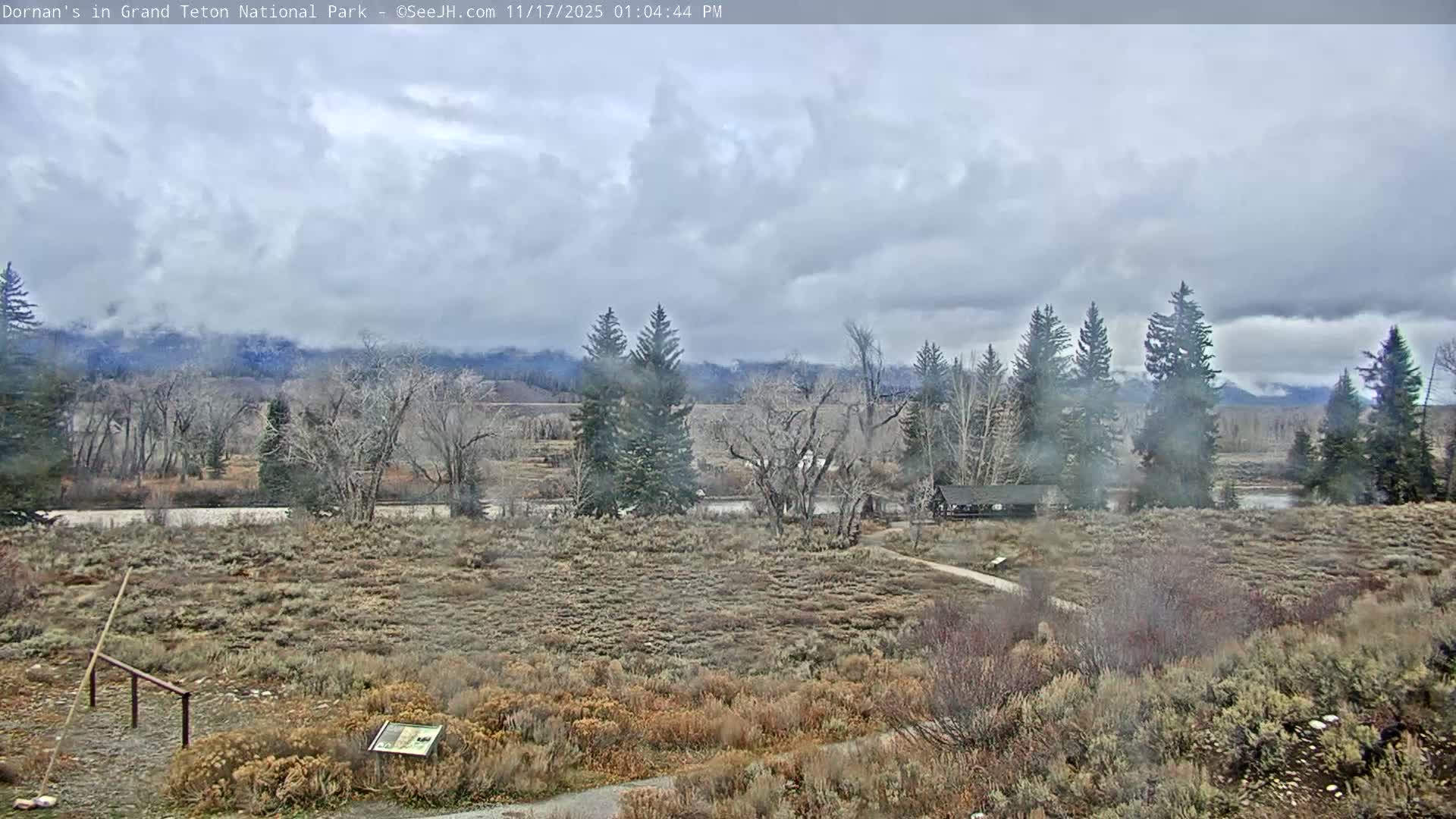 Grand Teton National Park  Live Cam - Moose, Teton, Wyoming, USA