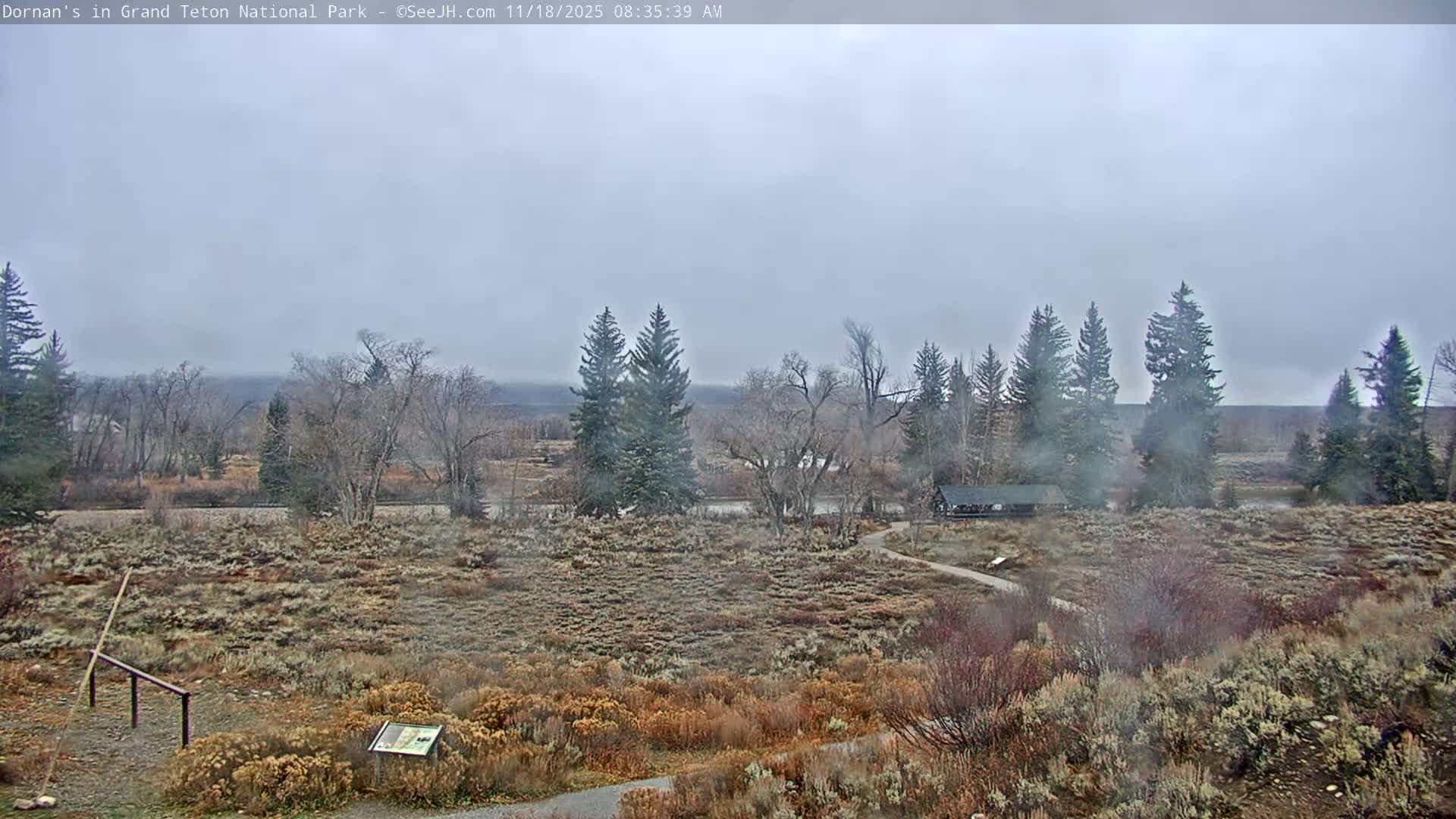 Grand Teton National Park  Live Cam - Moose, Teton, Wyoming, USA