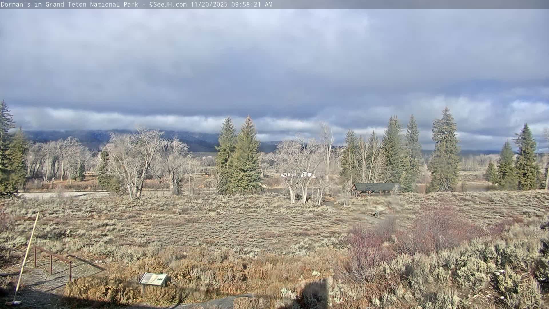 Grand Teton National Park  Live Cam - Moose, Teton, Wyoming, USA