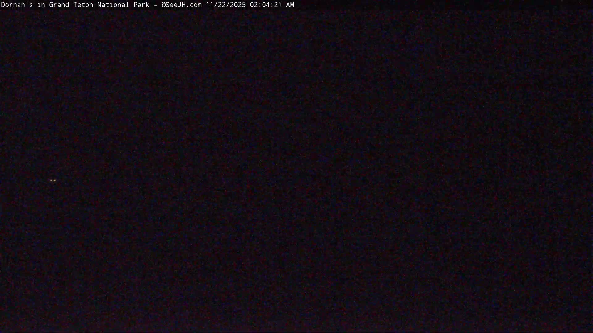 A very dark outdoor scene at night shows two small, reflective yellow points, likely animal eyes, under clear conditions.