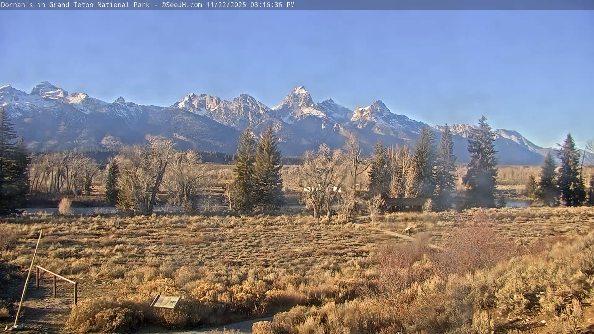 Grand Teton National Park  Live Cam - Moose, Teton, Wyoming, USA