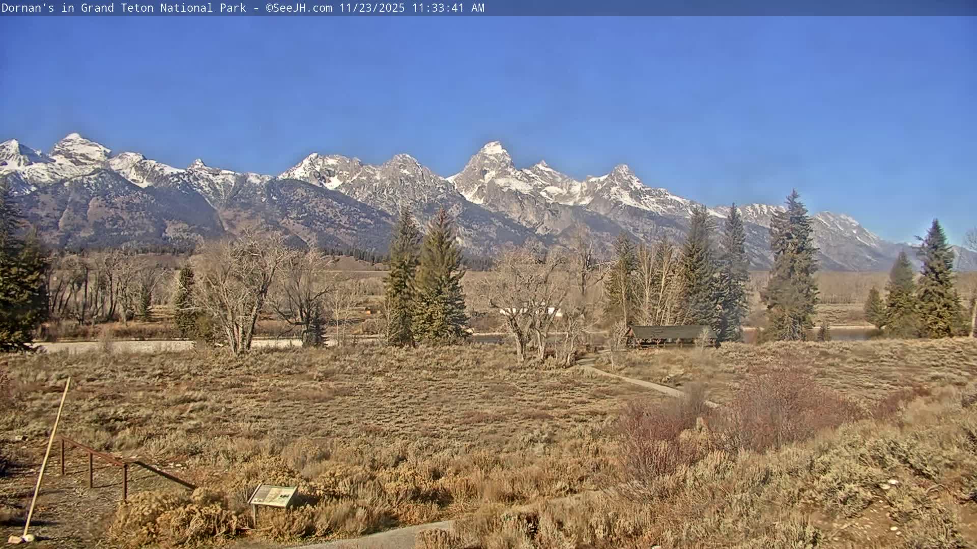 Grand Teton National Park  Live Cam - Moose, Teton, Wyoming, USA