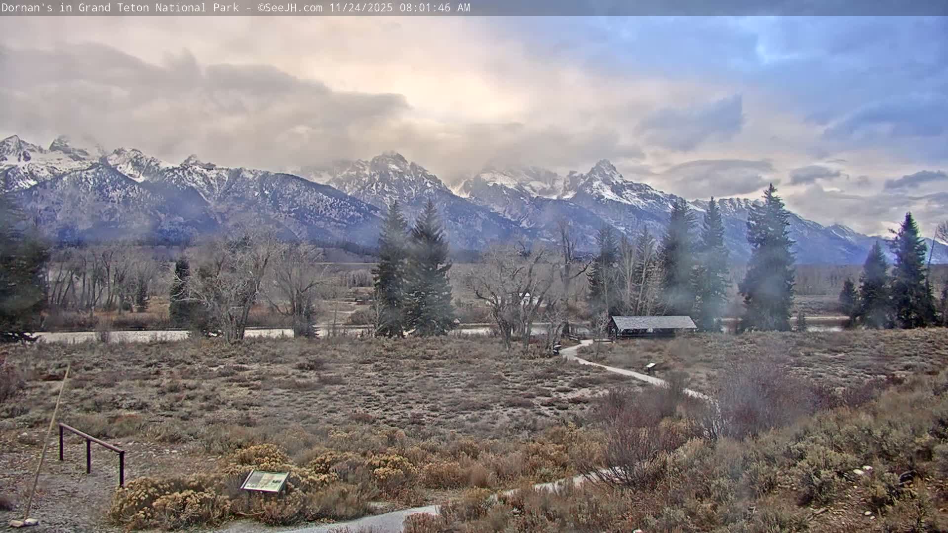 Grand Teton National Park  Live Cam - Moose, Teton, Wyoming, USA