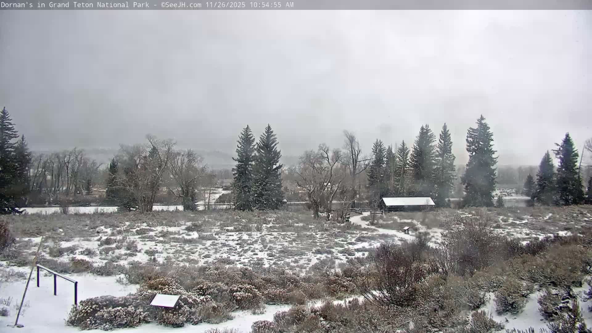 Grand Teton National Park  Live Cam - Moose, Teton, Wyoming, USA