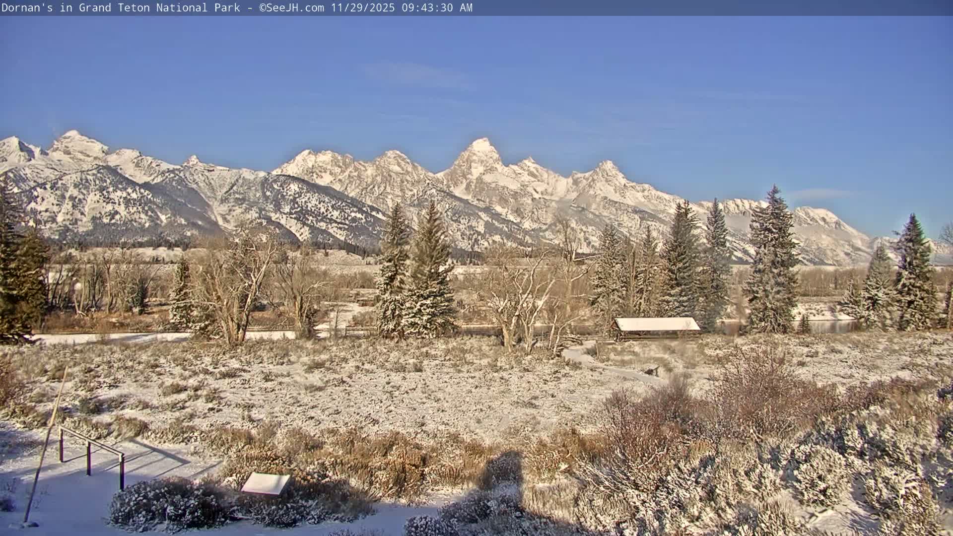 Grand Teton National Park  Live Cam - Moose, Teton, Wyoming, USA