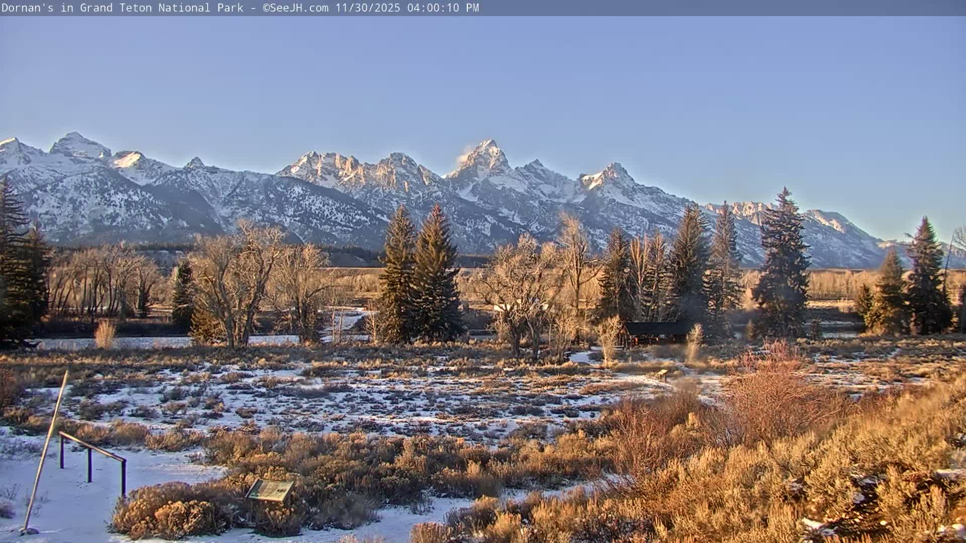 Grand Teton National Park  Live Cam - Moose, Teton, Wyoming, USA