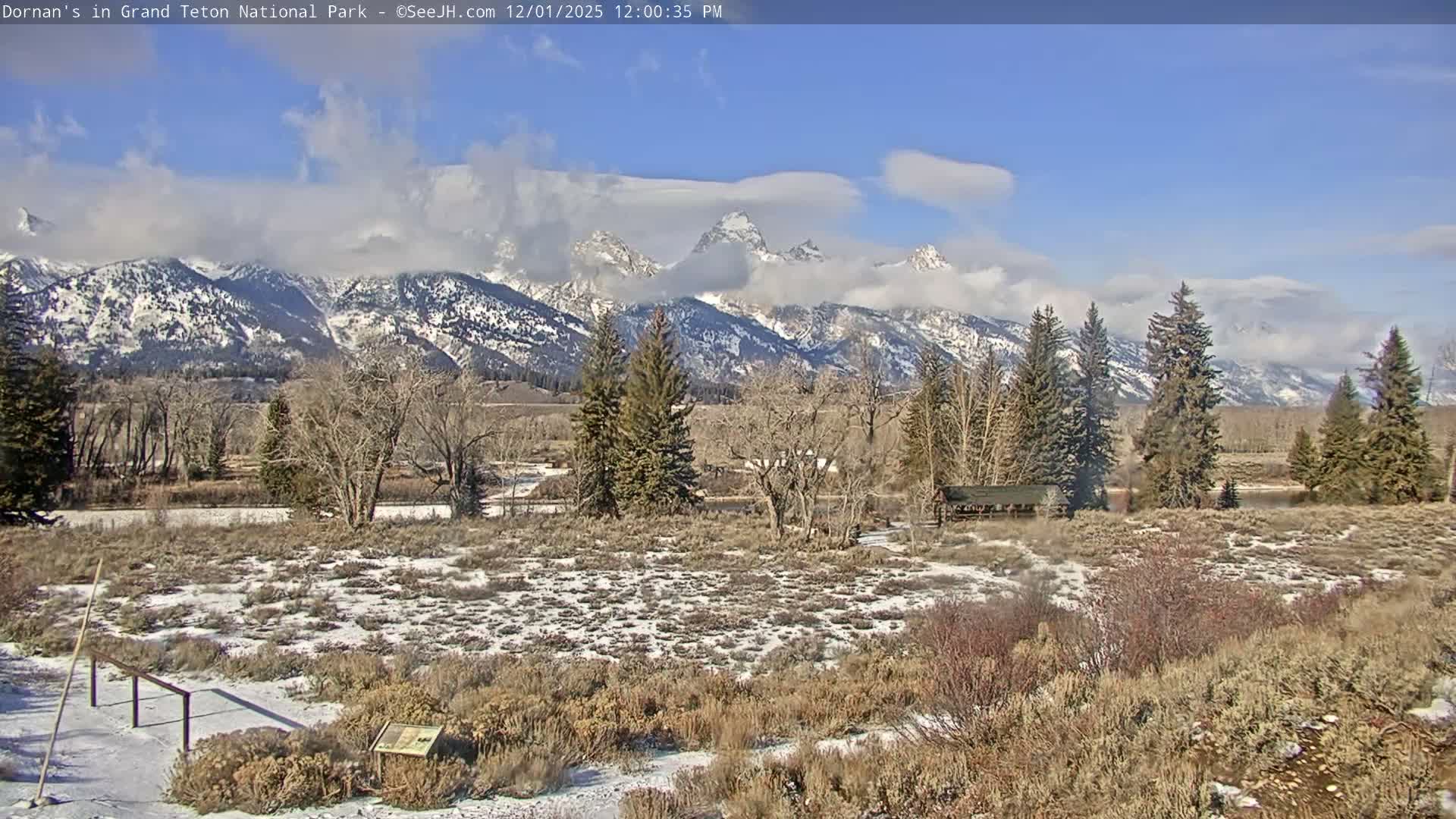 Grand Teton National Park  Live Cam - Moose, Teton, Wyoming, USA