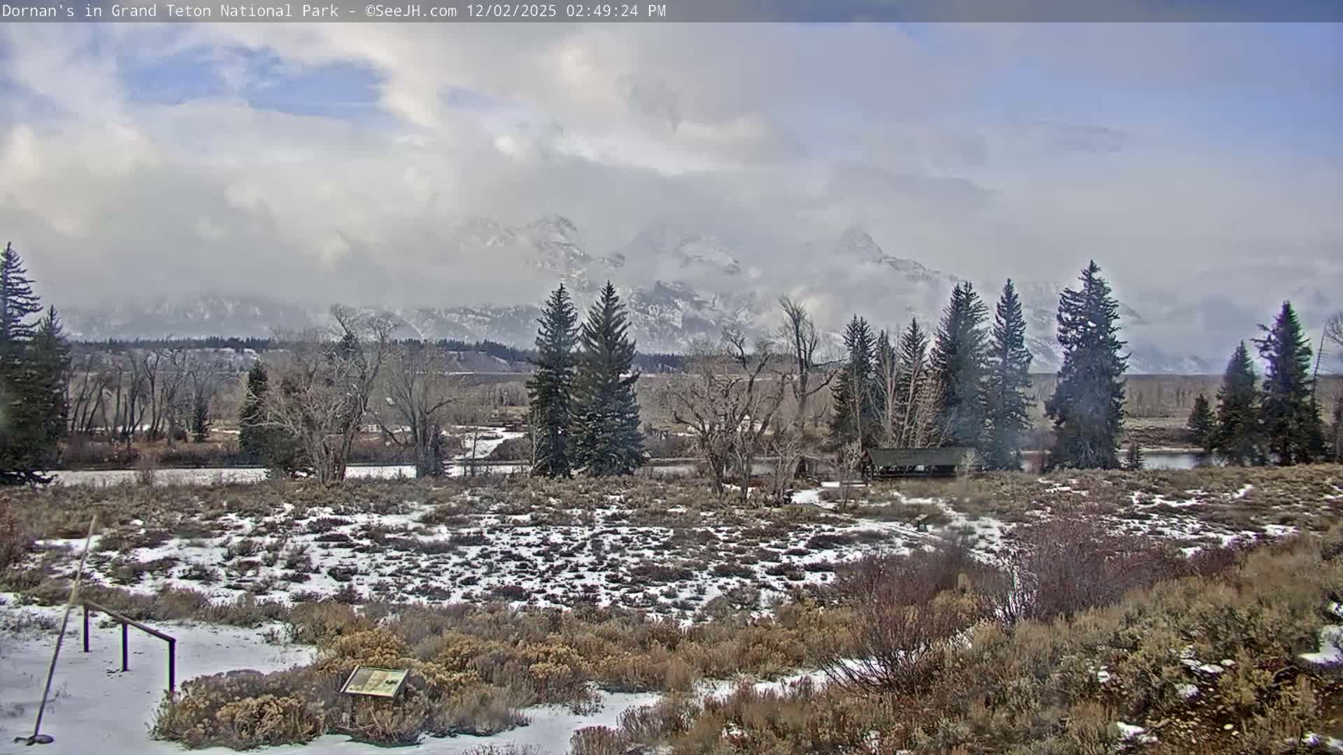 Grand Teton National Park  Live Cam - Moose, Teton, Wyoming, USA