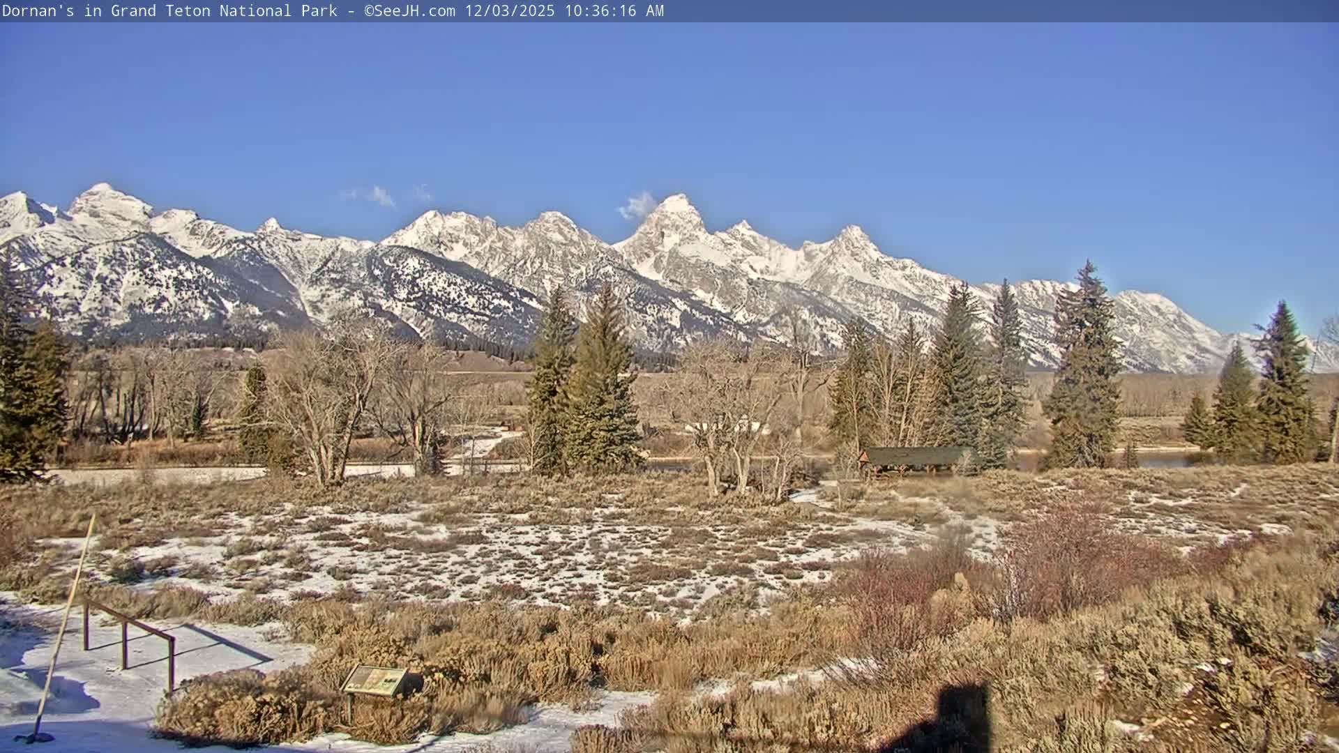 Grand Teton National Park  Live Cam - Moose, Teton, Wyoming, USA