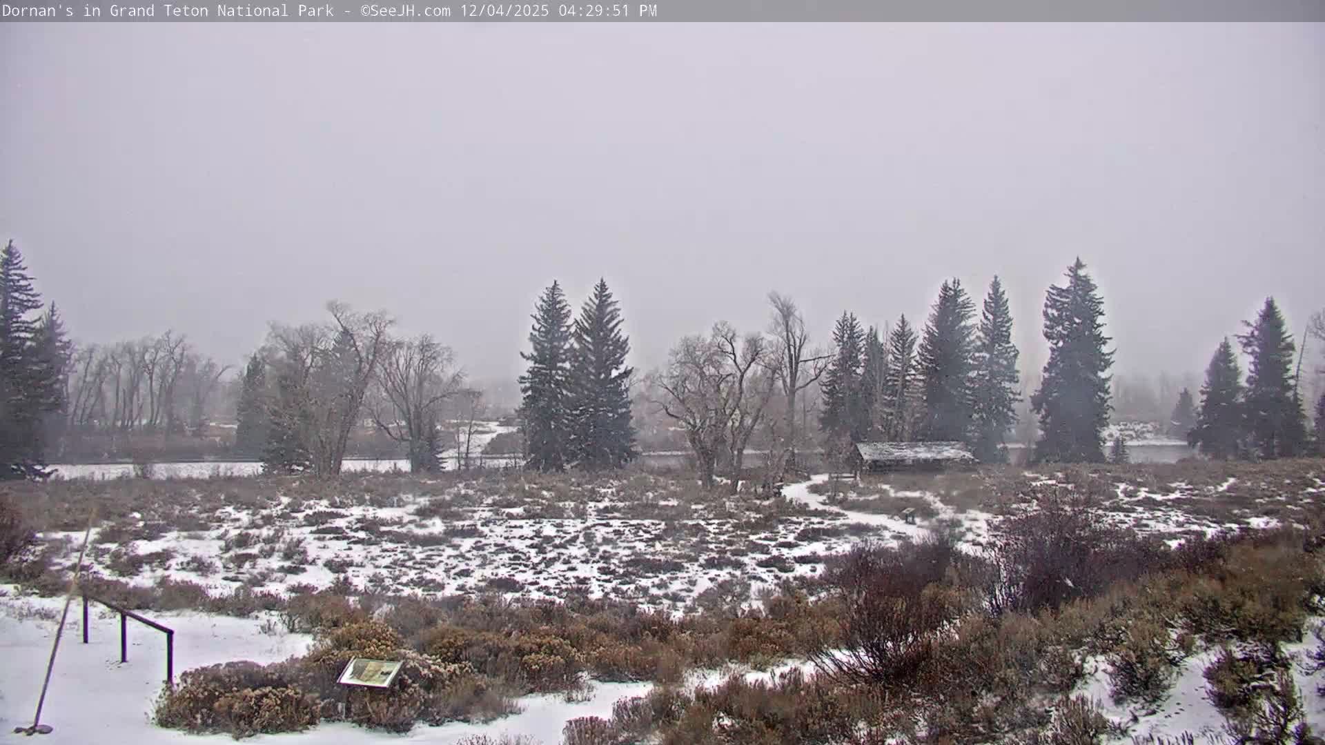 Grand Teton National Park  Live Cam - Moose, Teton, Wyoming, USA