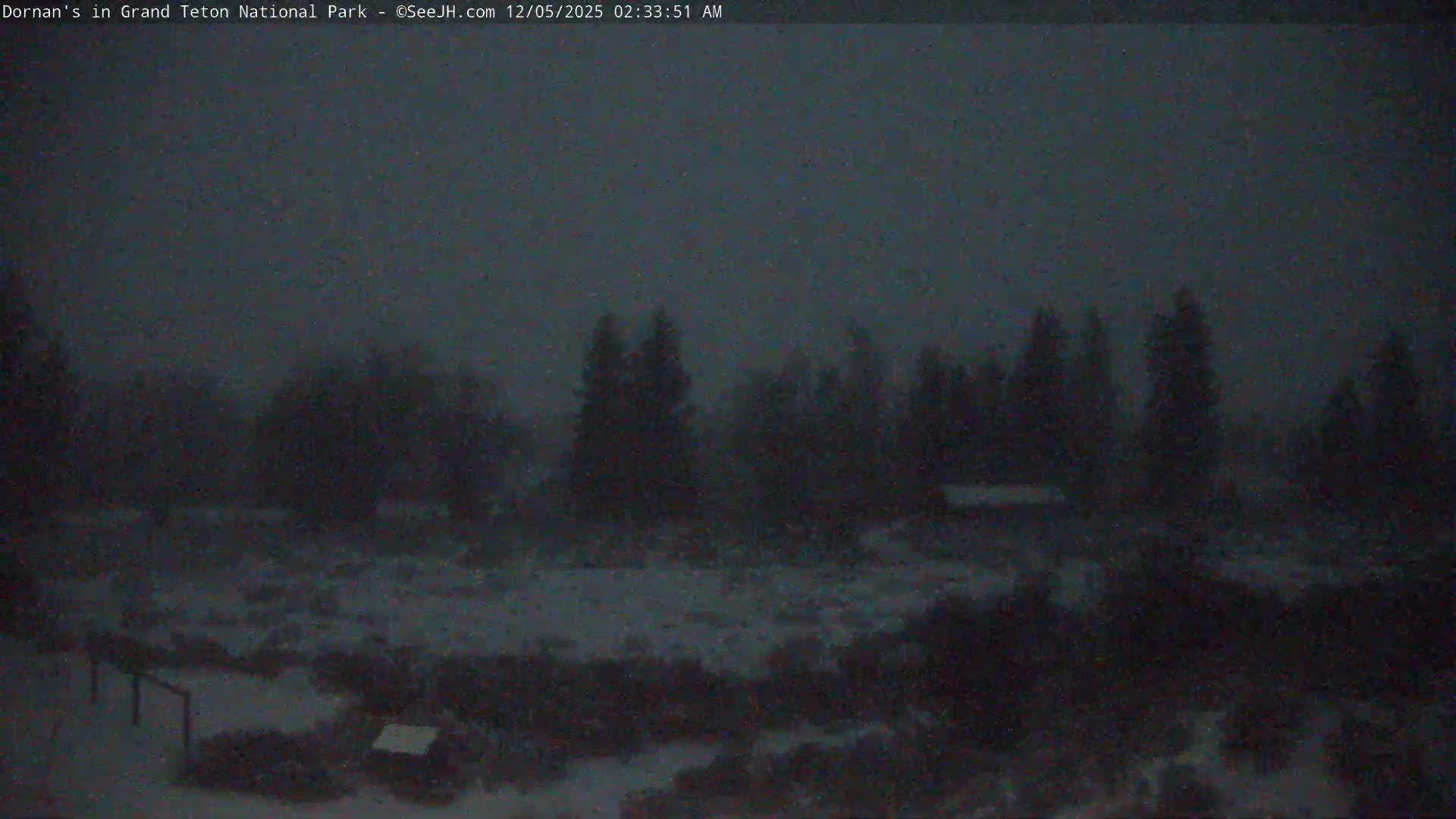 A dark, snowy landscape at night features evergreen trees and snow-covered ground amidst falling snow and low visibility.